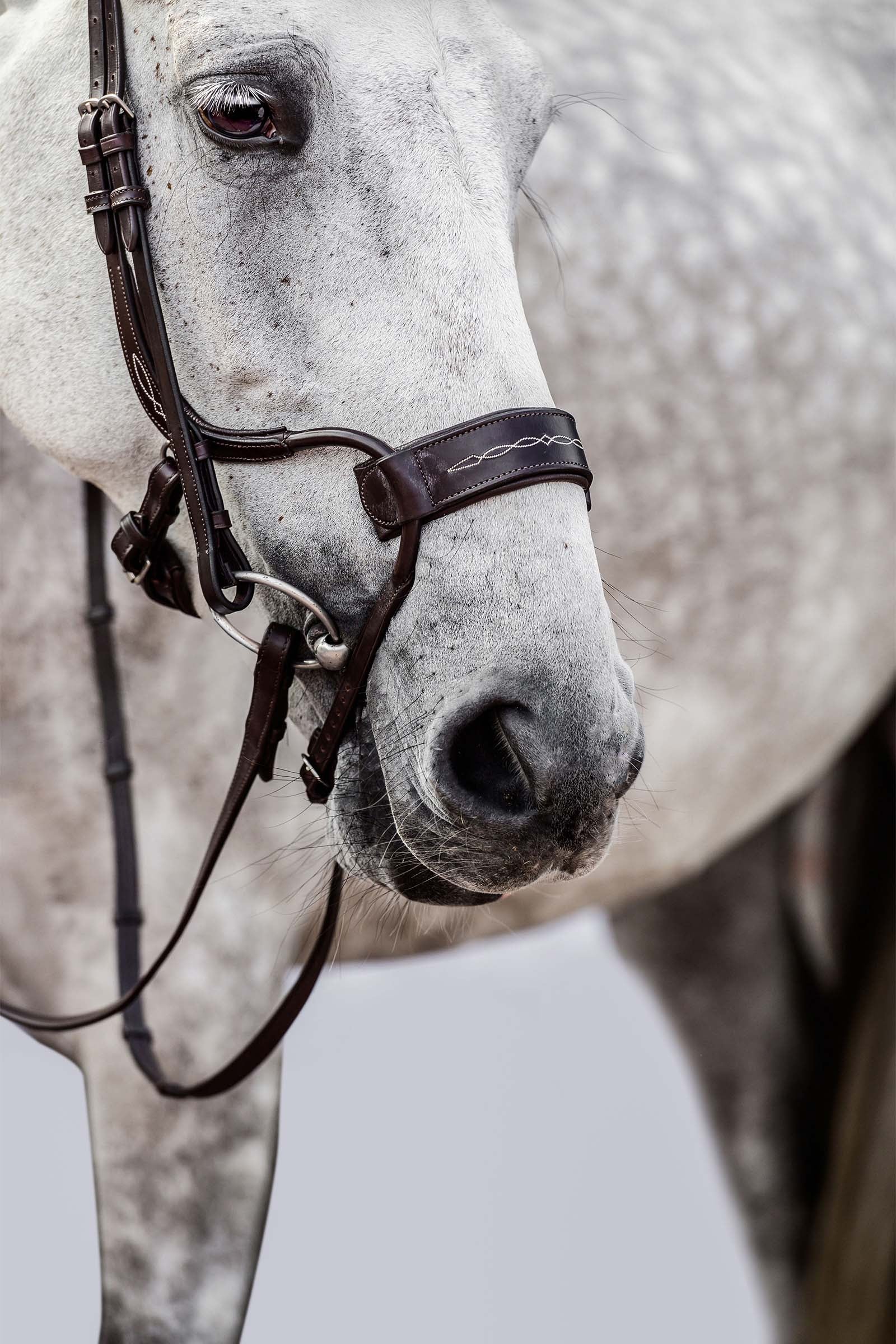 PS of Sweden High Jump Bridle Bridles & Reins