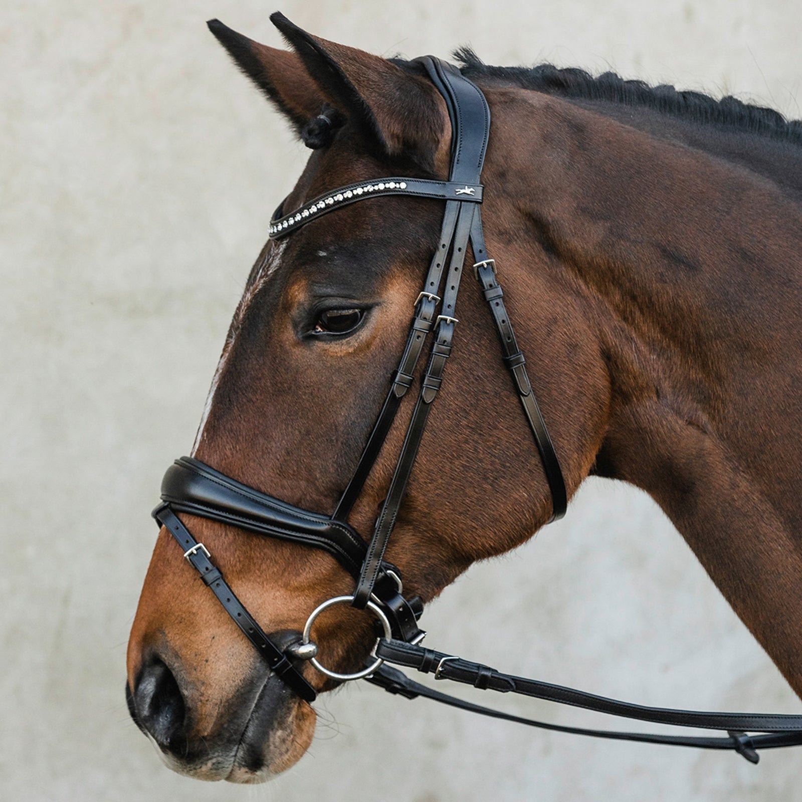 Schockemöhle Sports Brantford Bridle Bridles & Reins