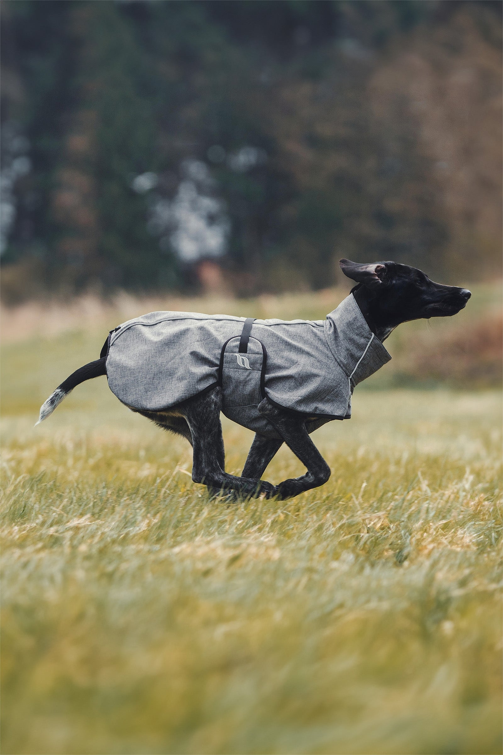 Back on Track Bark All-Round Dog Coat, 40-50cm Dog Accesories