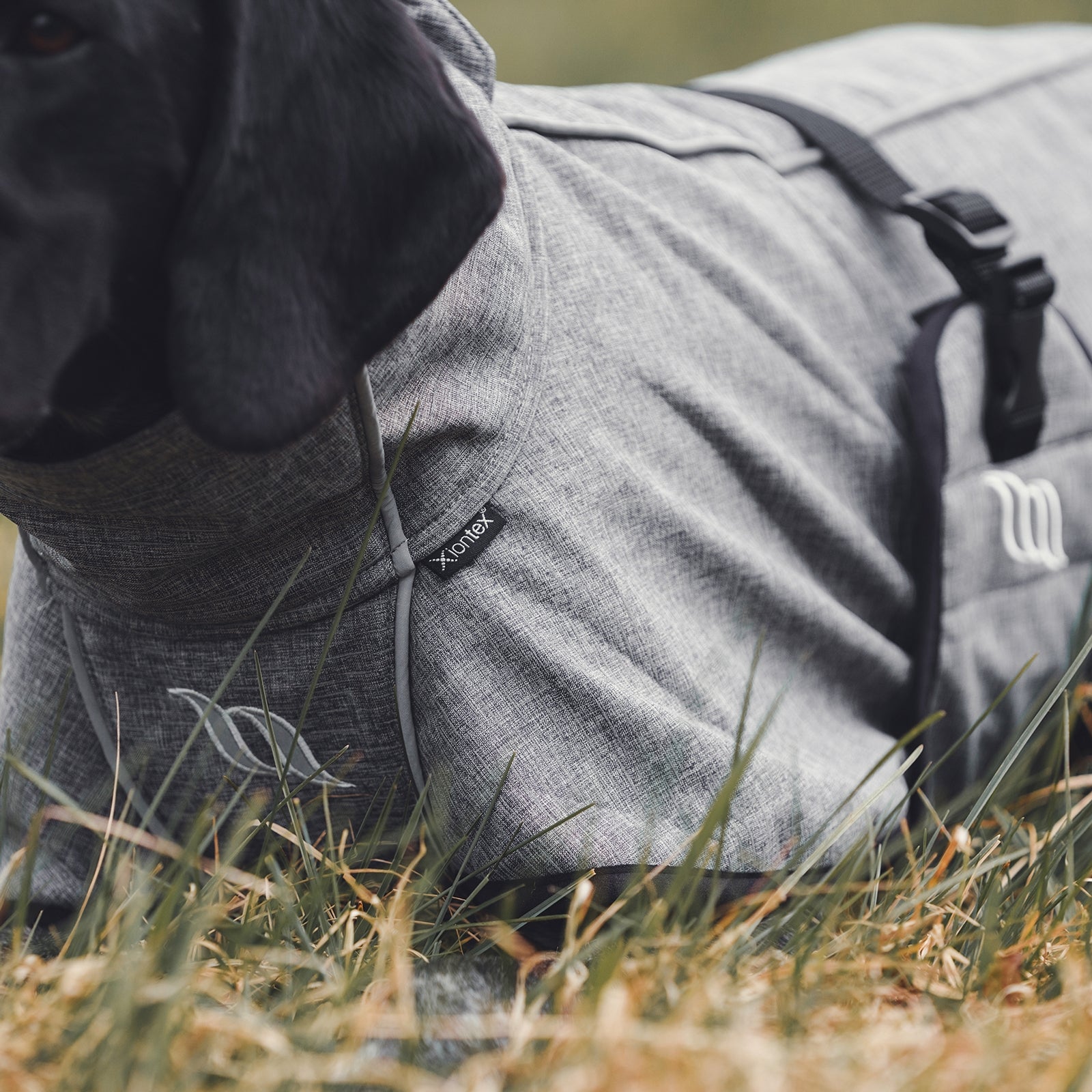 Back on Track Bark All-Round Dog Coat, 40-50cm Dog Accesories