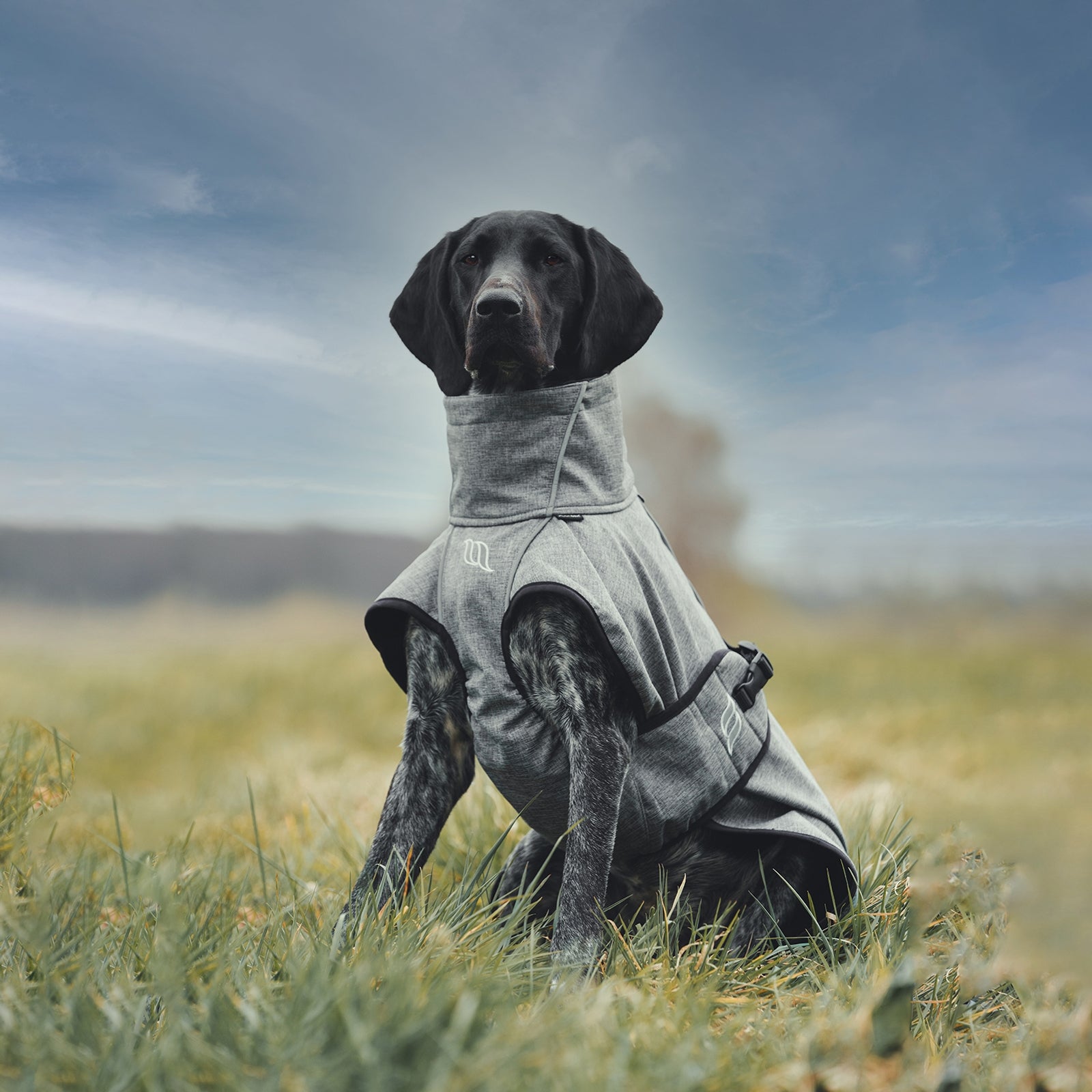 Back on Track Bark All-Round Dog Coat, 70-80cm Dog Accesories