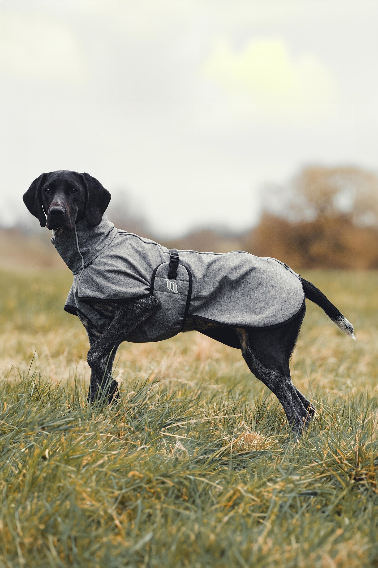 Back on Track Bark All-Round Dog Coat, 85-90cm Dog Accesories