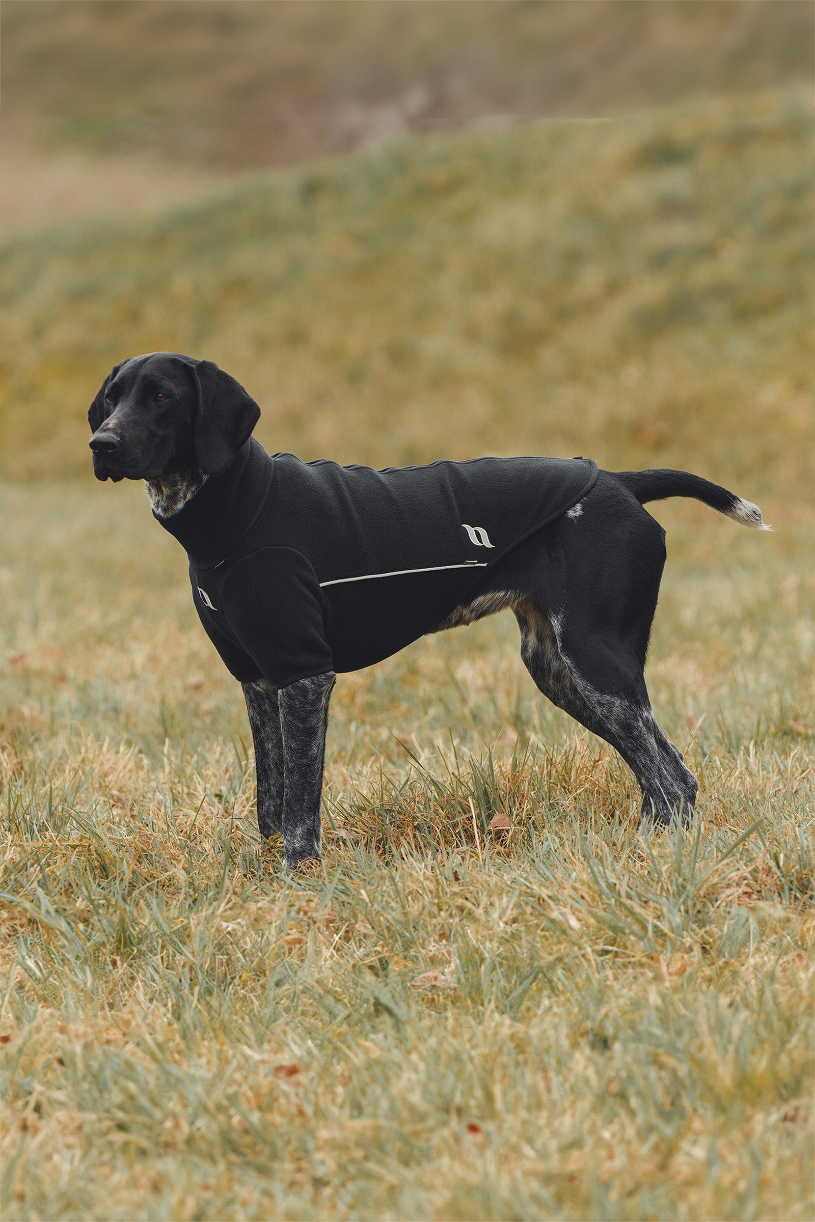 Back on Track Cassie All-Weather Jumper, 25-30cm Dog Accesories