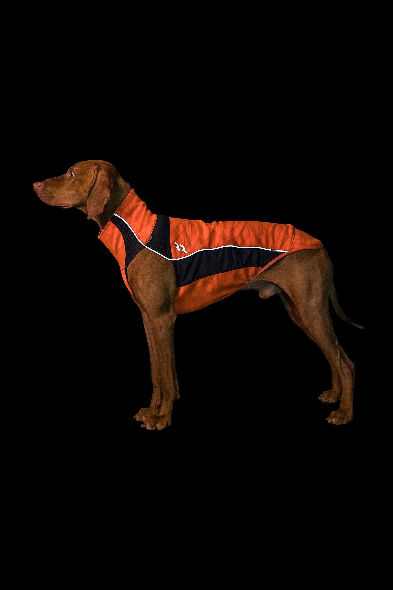 Back on Track Eddie High-Visibility Pullover, 40-45cm Hund