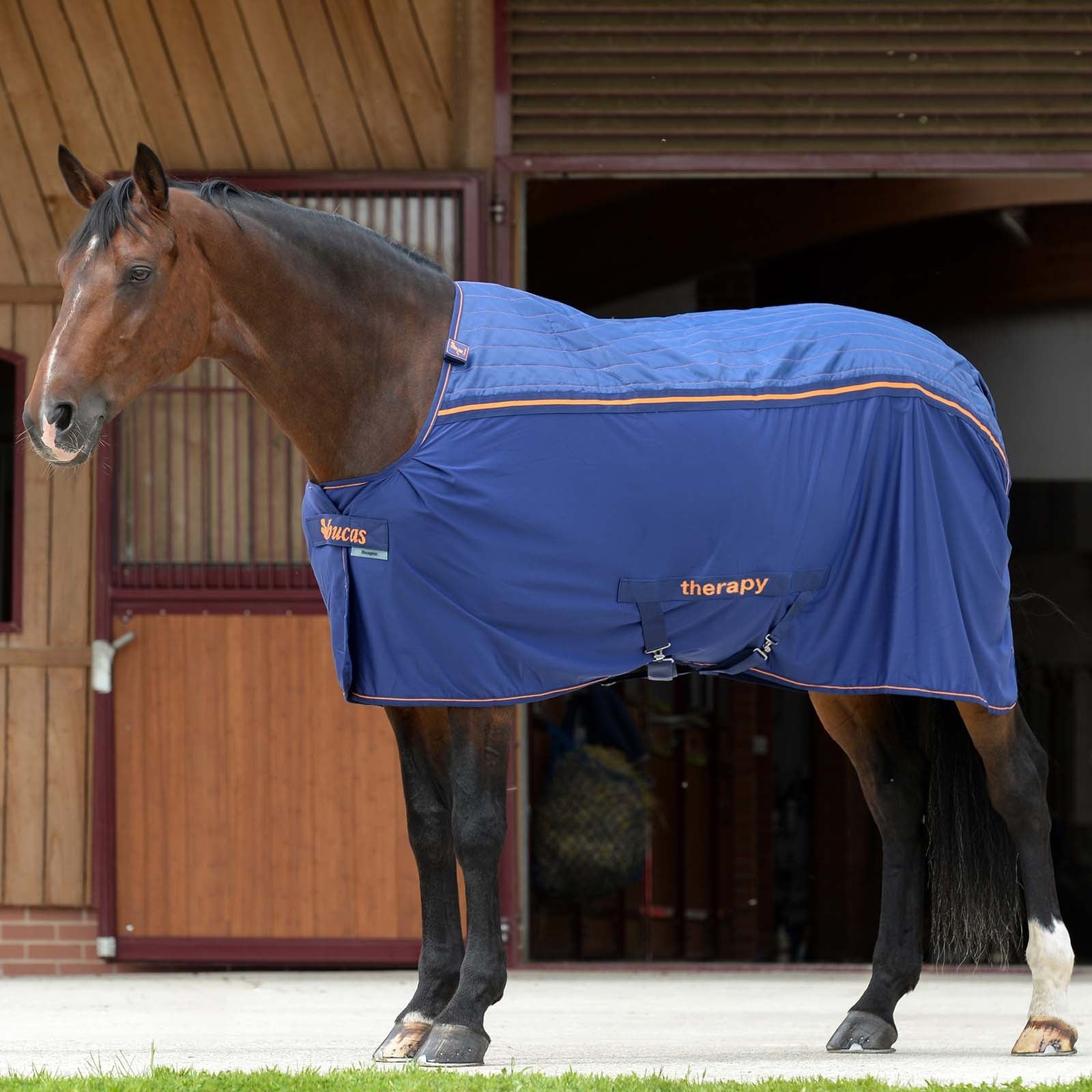 Bucas Therapy Cooler Big Neck Horse Rugs