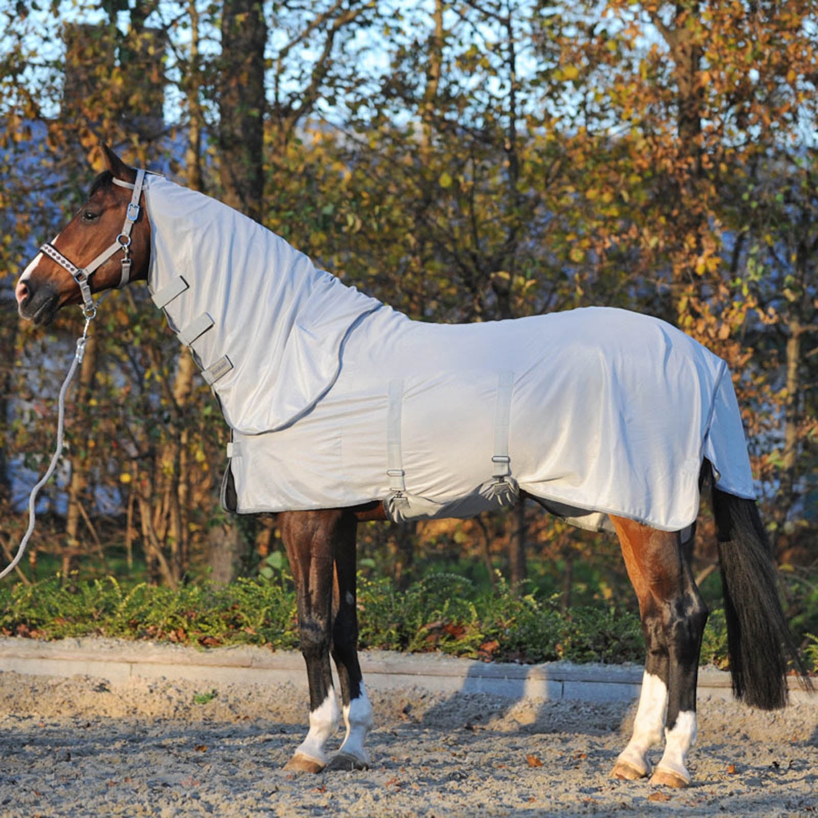 Kavalkade Fly Rug with Removable Neck Horse Rugs