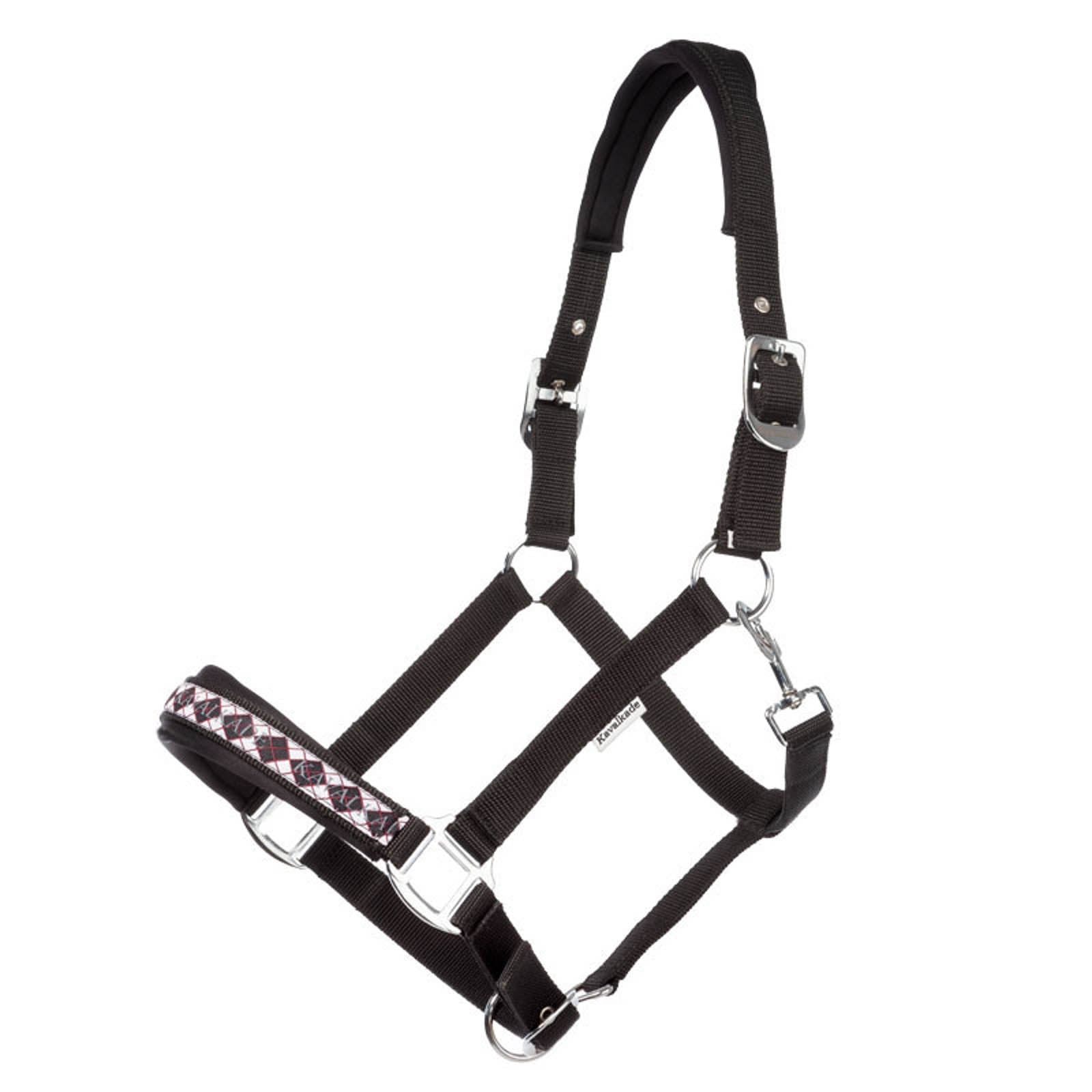 Kavalkade Island Classic Halfter Halfter & Stricke