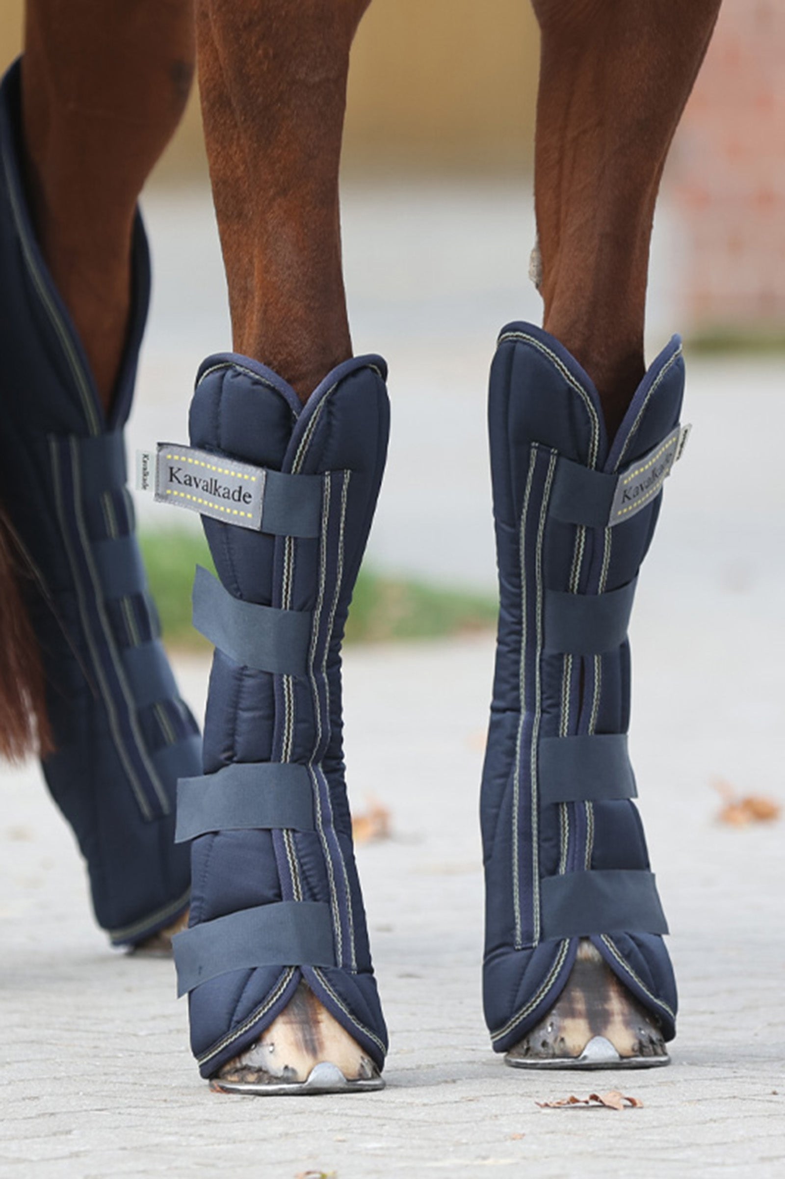 Kavalkade Montreal Transportgamaschen (4er Set) Leg & Hoof Protection