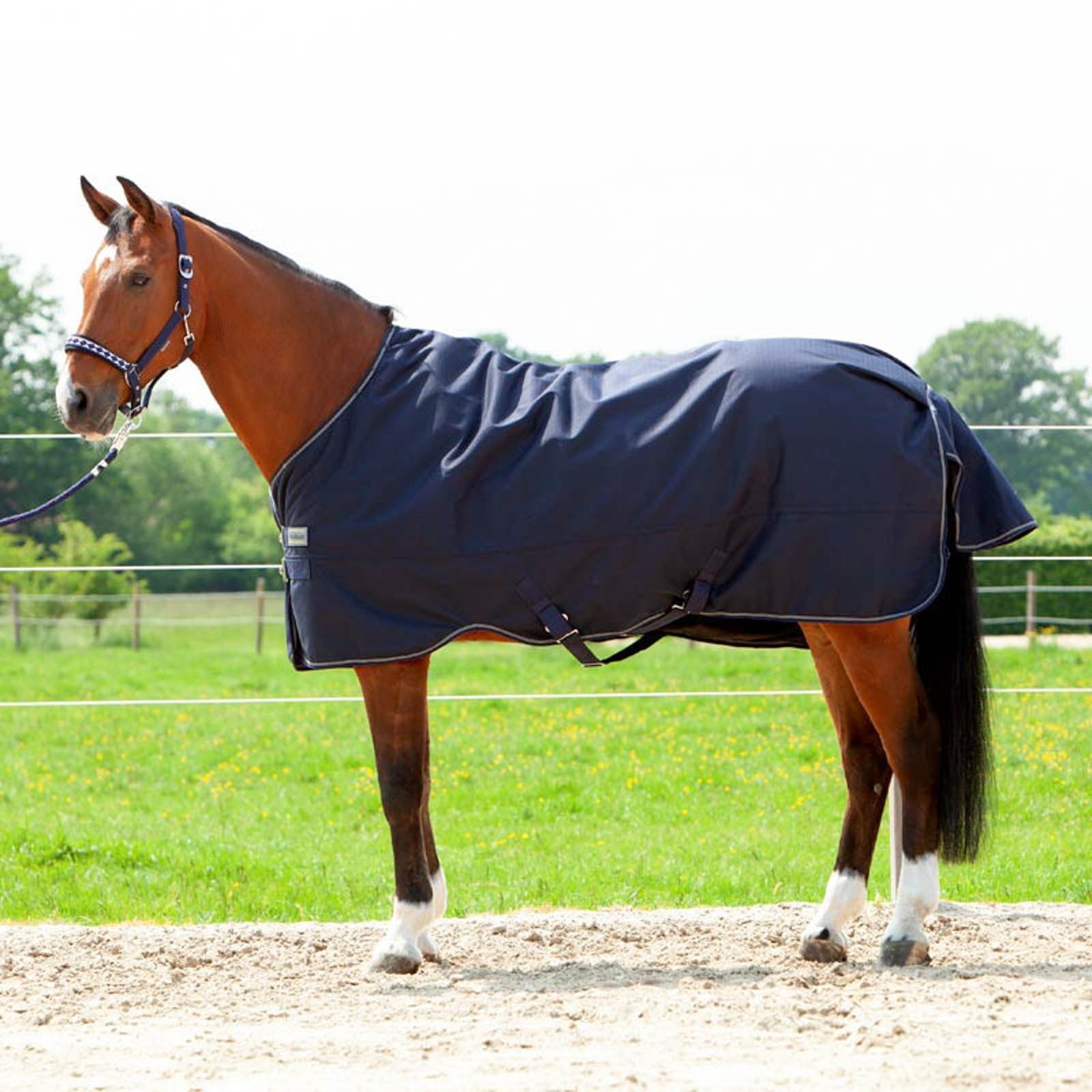 Kavalkade Montreal Turnout Rug, 200g Horse Rugs