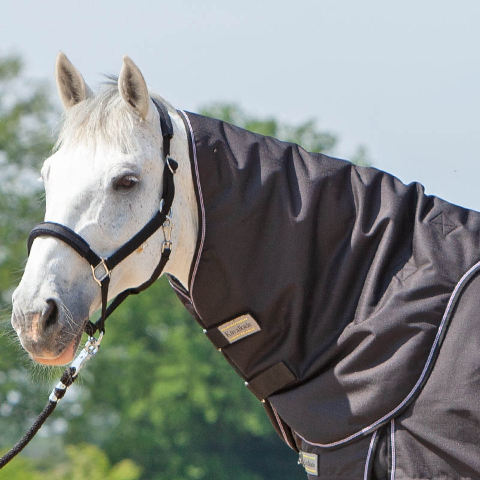 Kavalkade Halsteil für Alaska IV, 100 g Pferdedecken