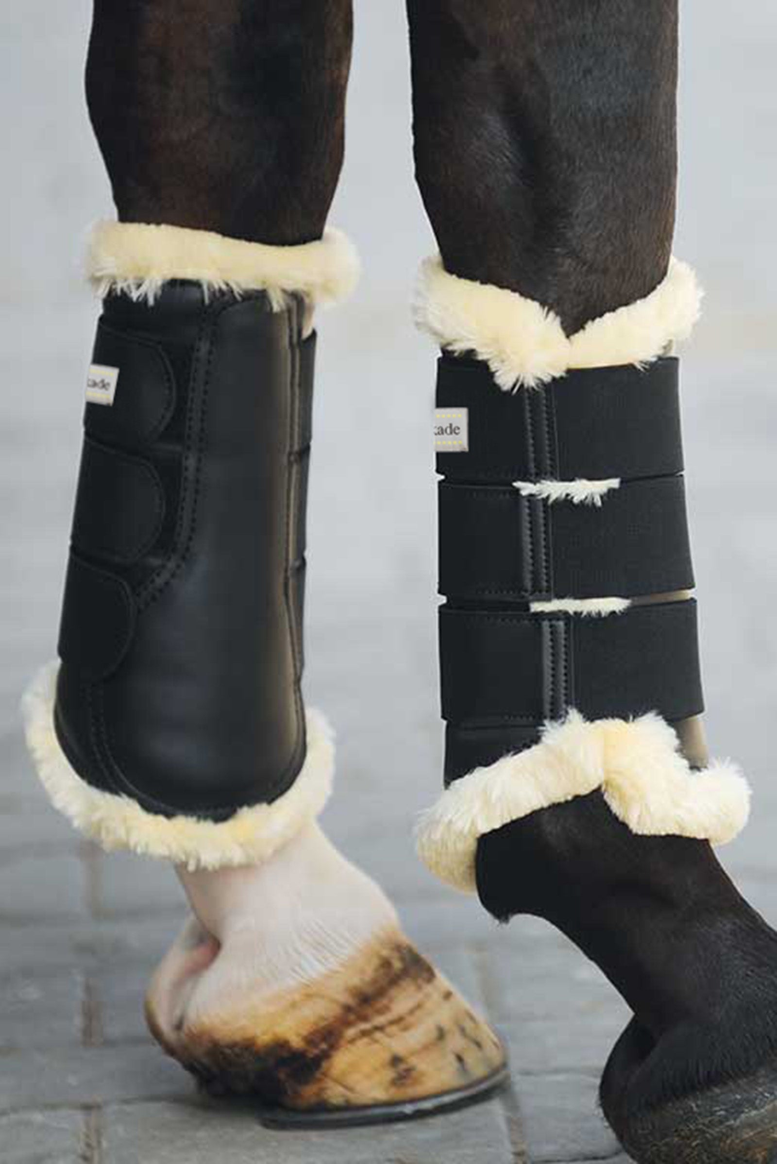 Kavalkade Show Gamaschen Leg Protection & Hoof Protection for Horses