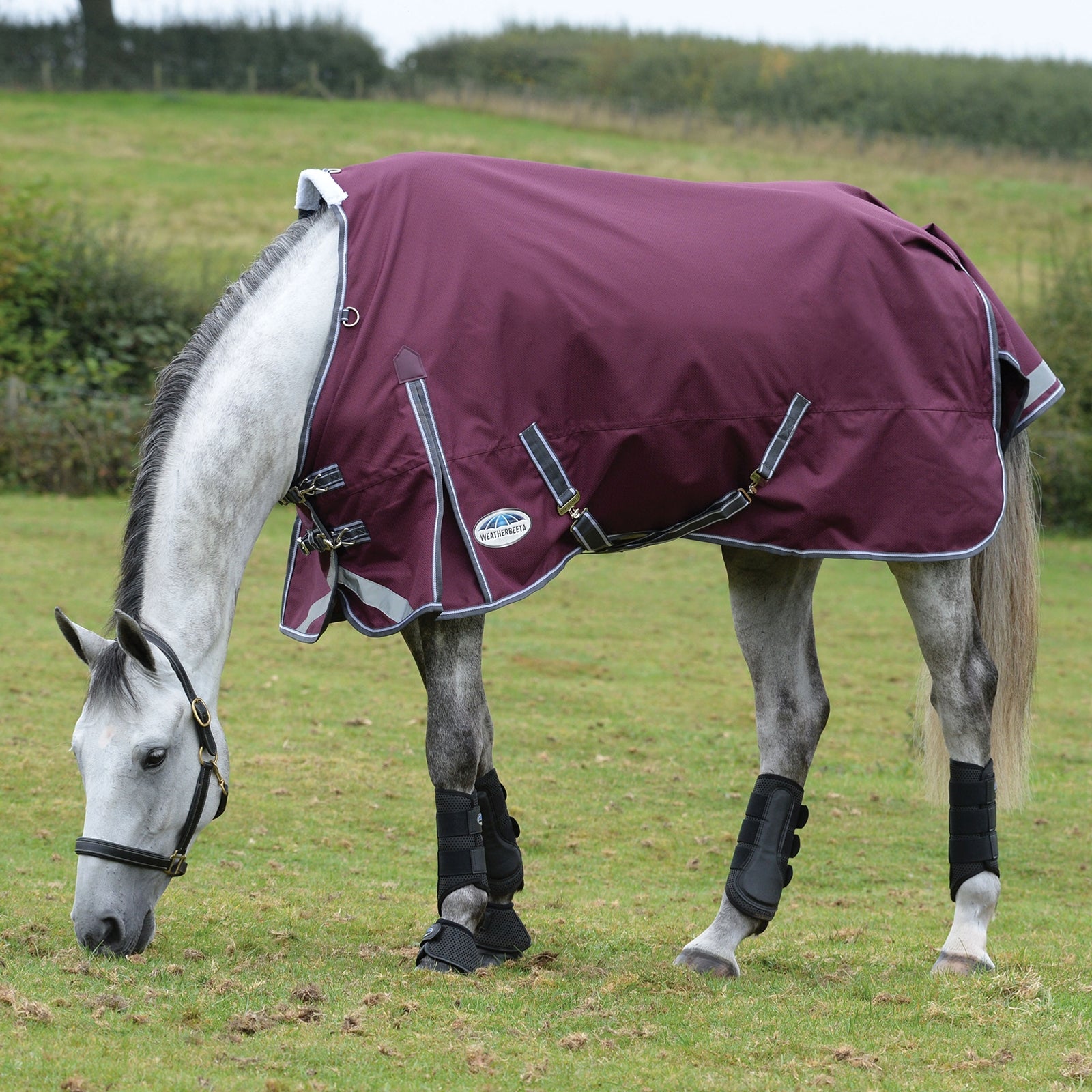 Weatherbeeta Comfitec Plus Dynamic II Standard Neck Turnout Rug, 0g Horse Rugs