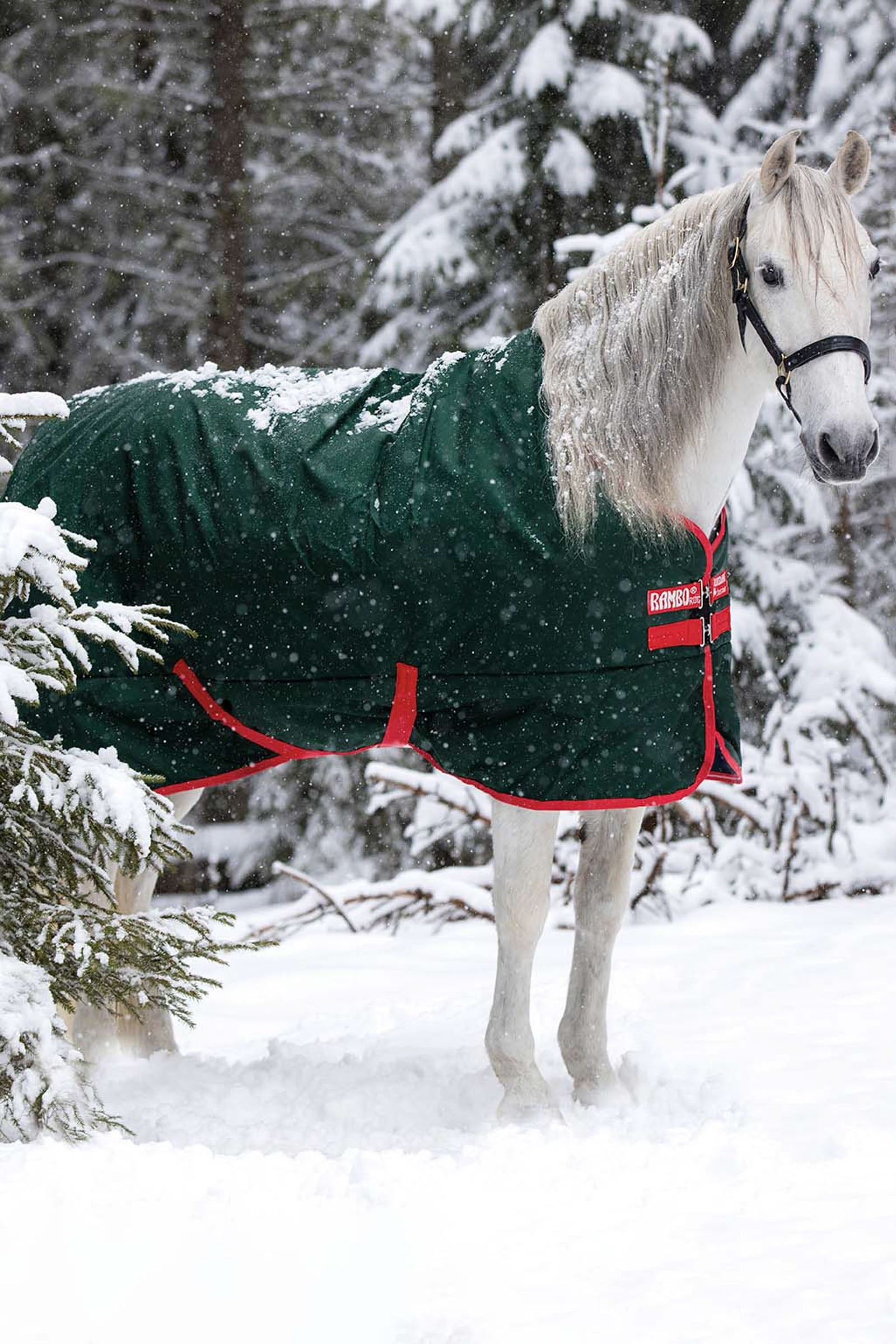 Horseware Rambo Original Weidedecke, 400g Pferdedecken