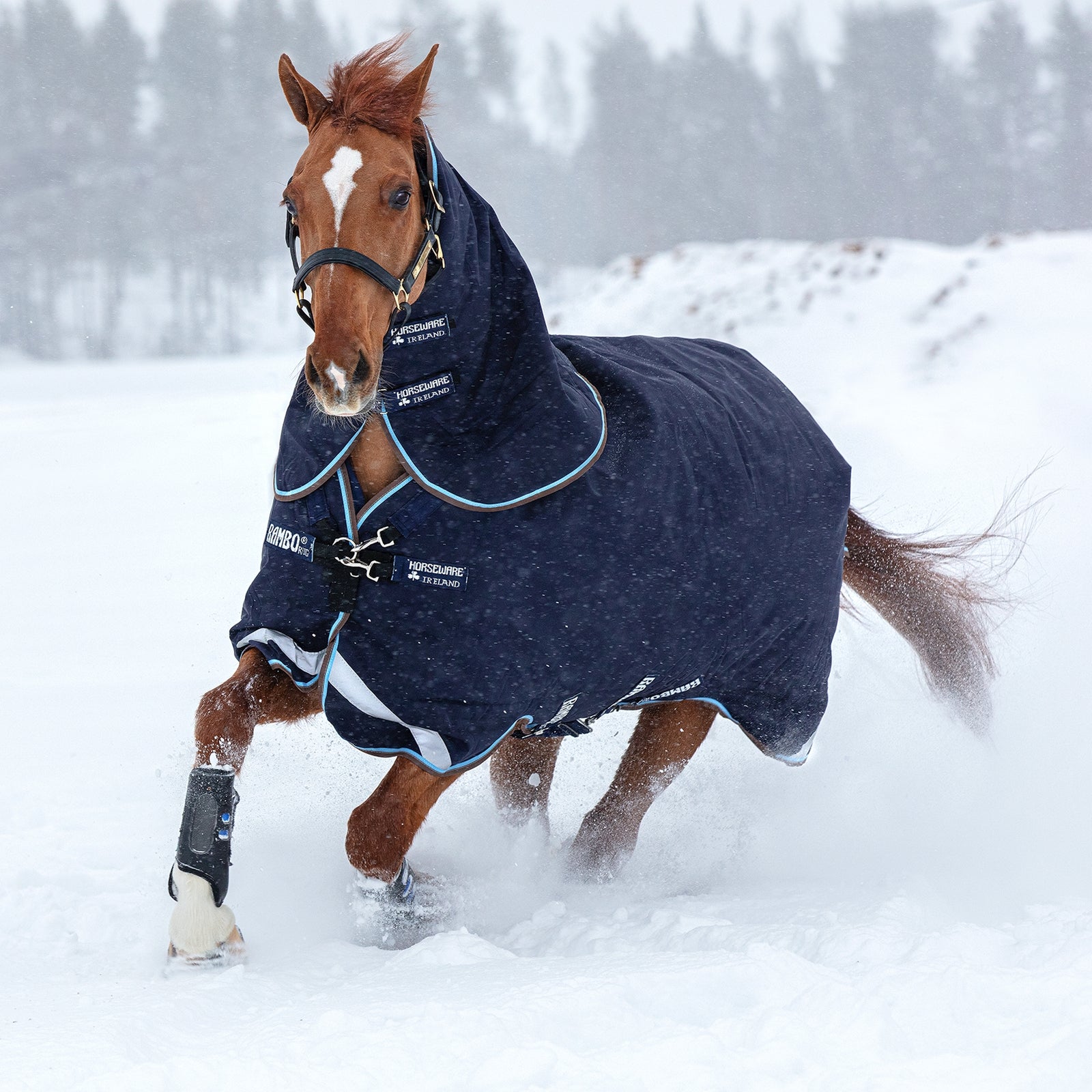 Horseware Rambo Duo Weidedecke mit abnehmbarem Halsteil, 100g Pferdedecken