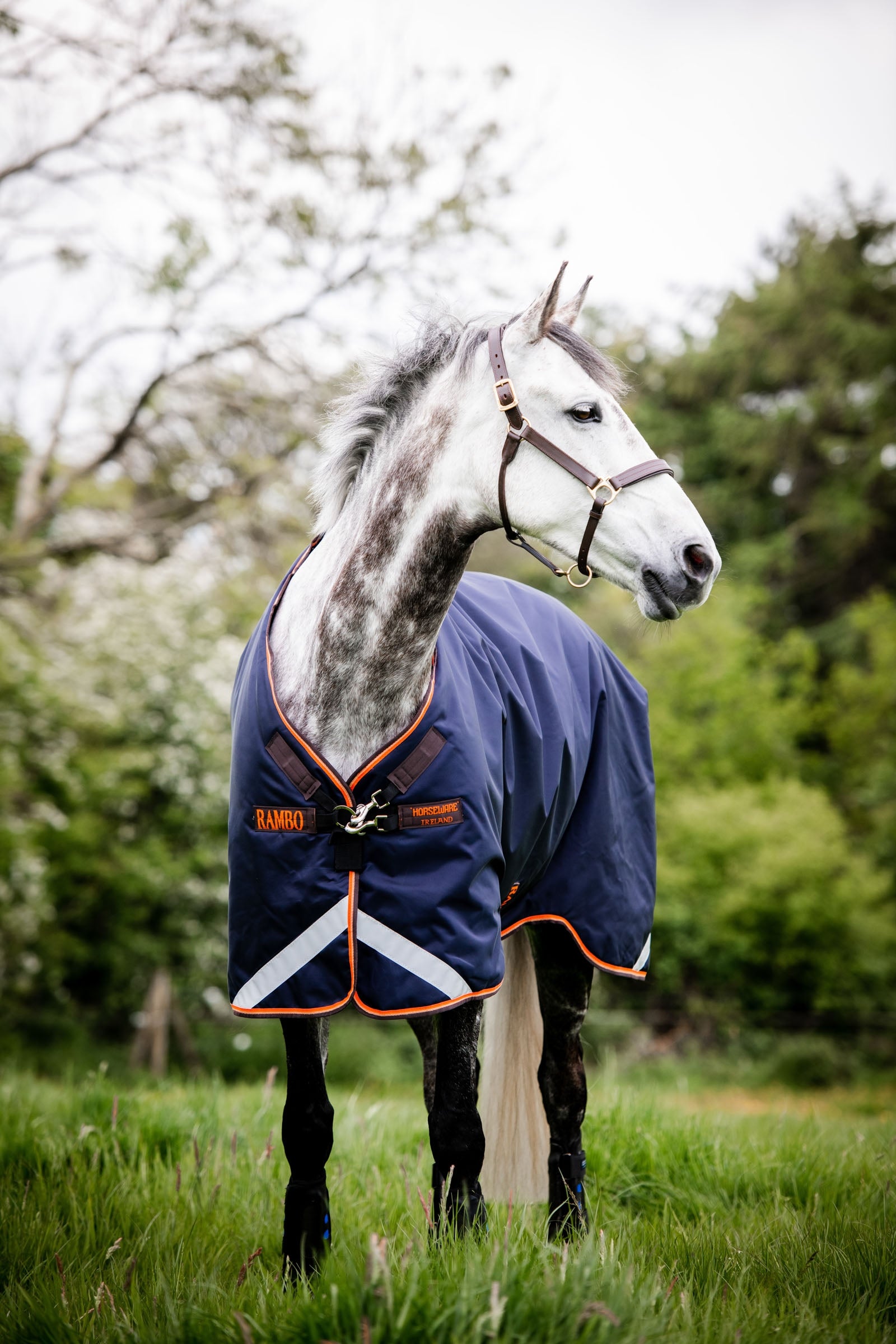 Horseware Rambo Original Weidedecke mit Beinausschnitt, 100g Pferdedecken