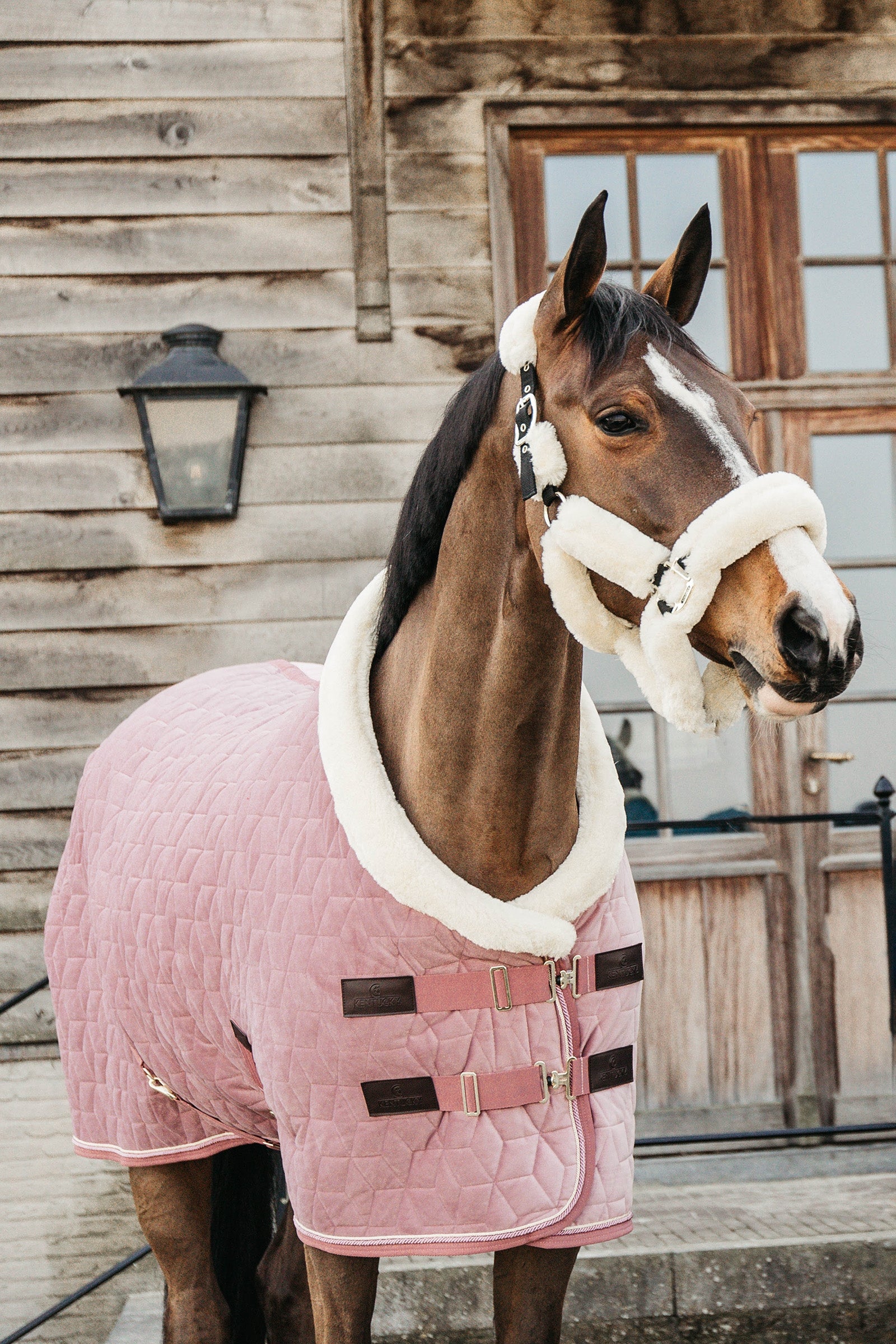 Kentucky Horsewear Velvet Pony Turnierdecke, 160g Pferdedecken