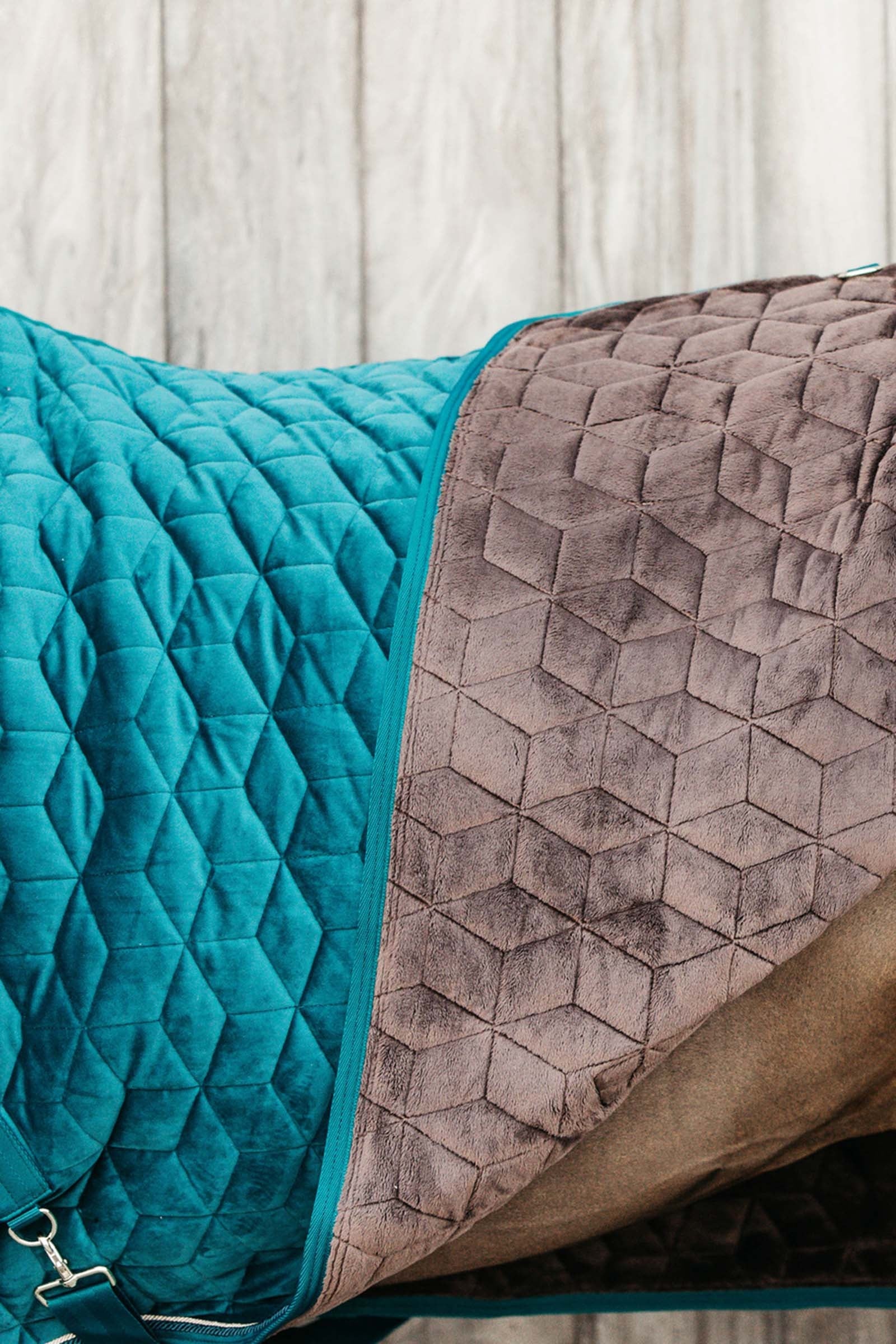 Kentucky Horsewear Velvet Show Rug, 160g Horse Rugs