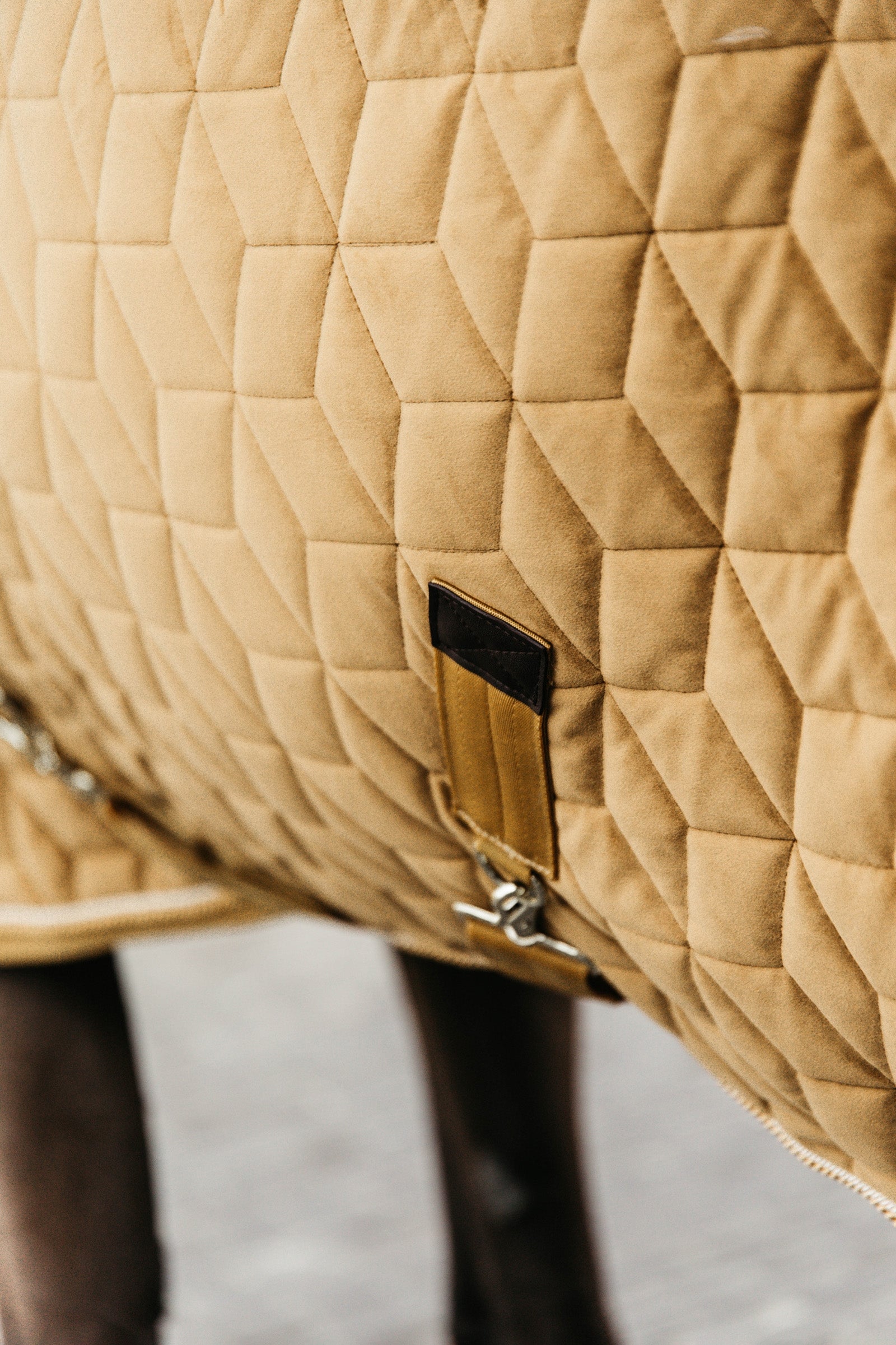 Kentucky Horsewear Velvet Show Rug, 160g Horse Rugs