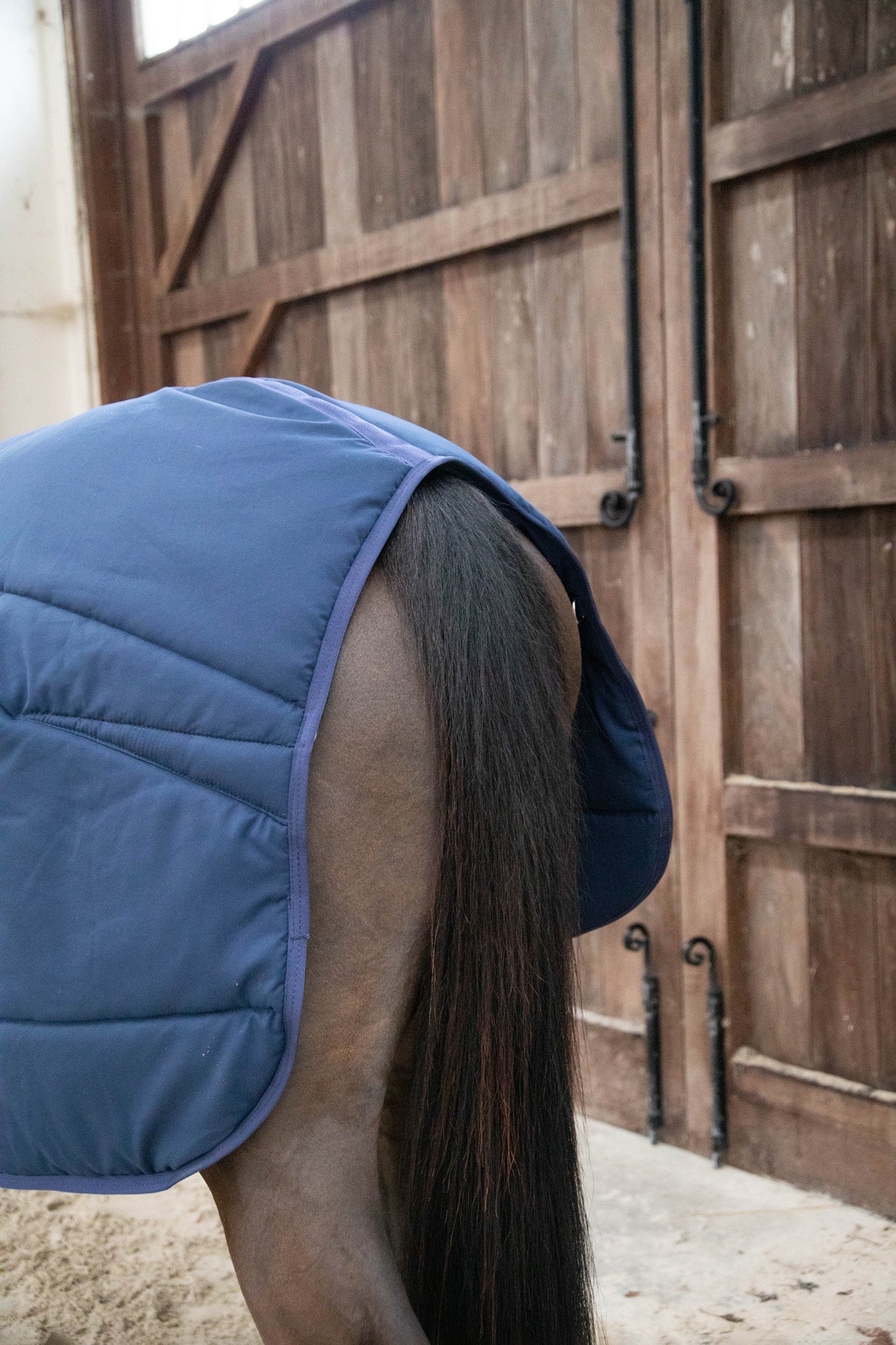 Kentucky Horsewear Classic Under Rug, 100g Horse Rugs