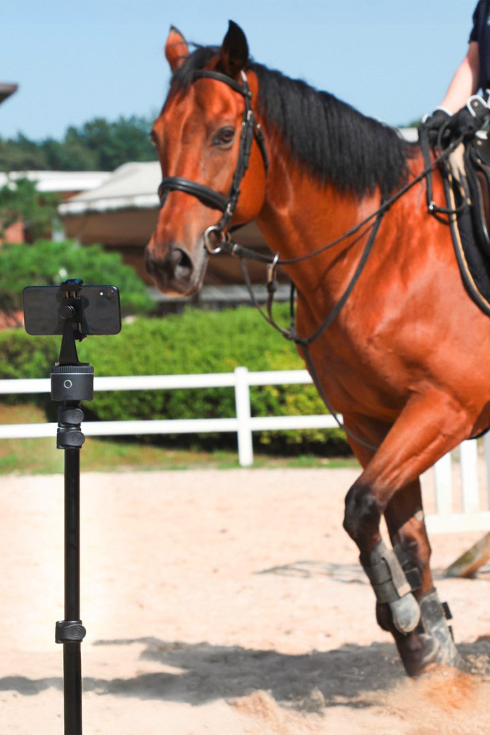 Pivo Pod Silver Essential Set Stable Equipment