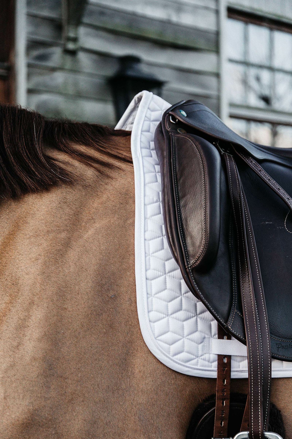 Kentucky Horsewear Basic Dressage Saddle Pad Saddle Pads