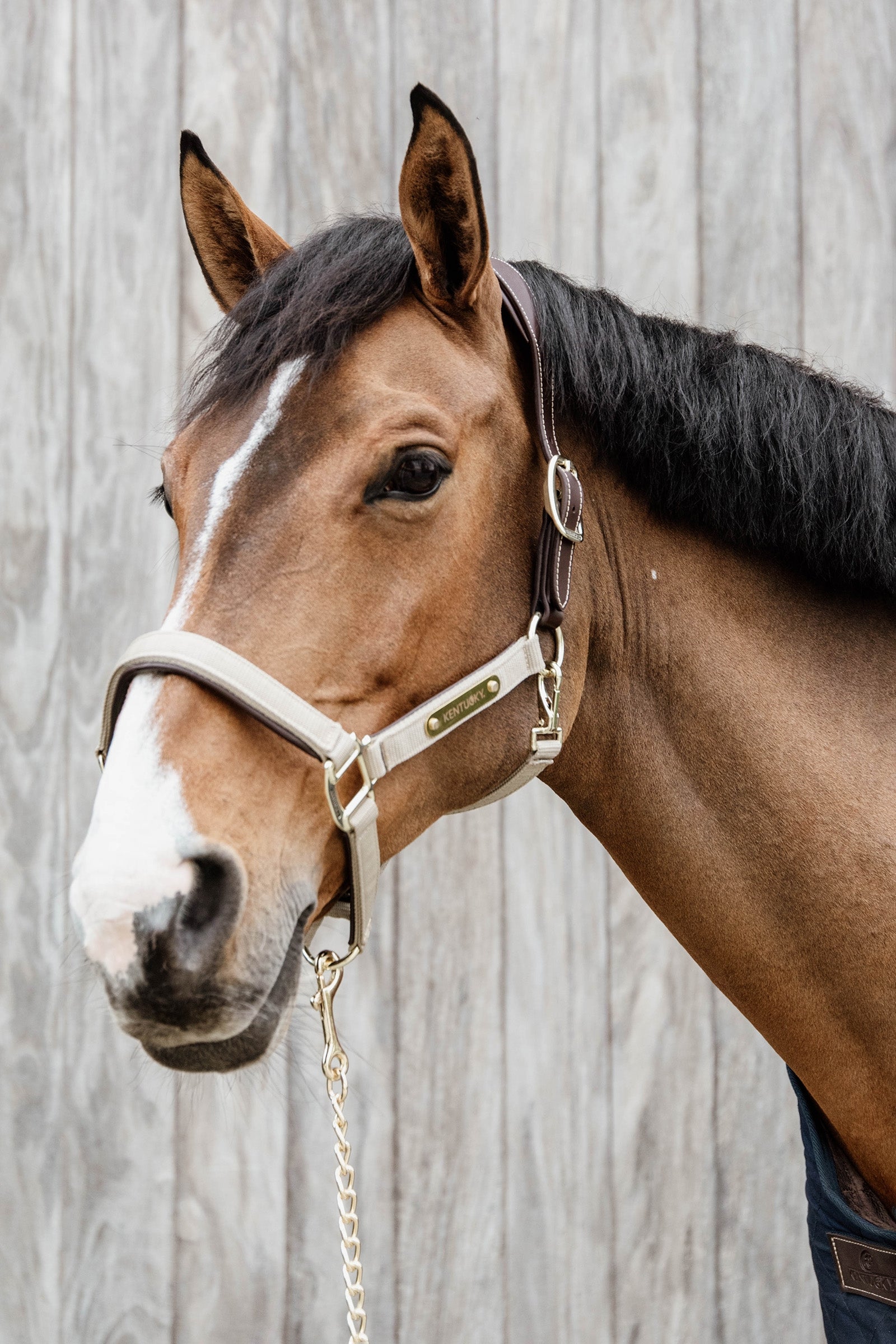 Kentucky Horsewear Anatomic Nylon Halter Halters & Leads