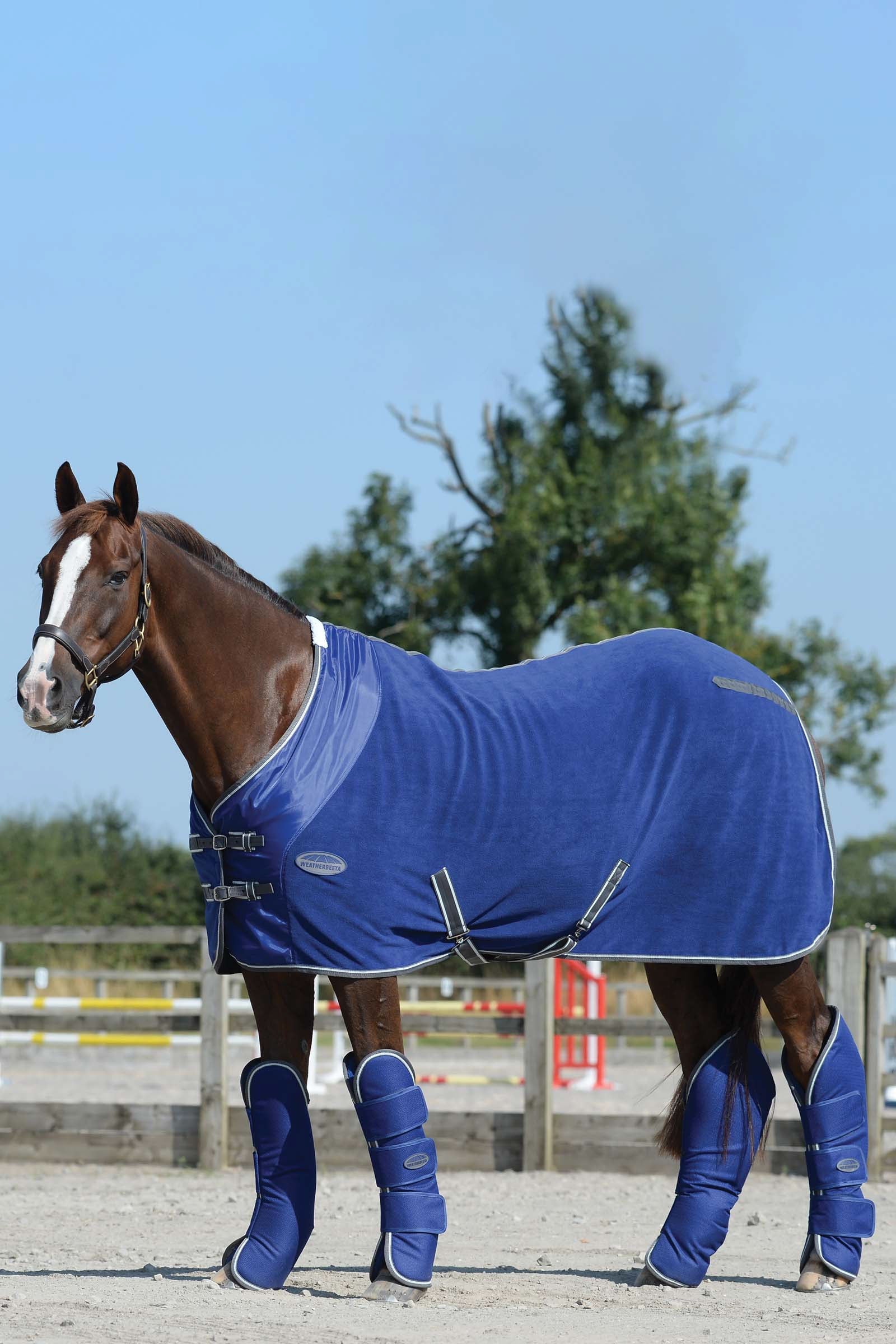 Weatherbeeta 1200D Wide Tab Transportgamaschen Leg Protection & Hoof Protection for Horses