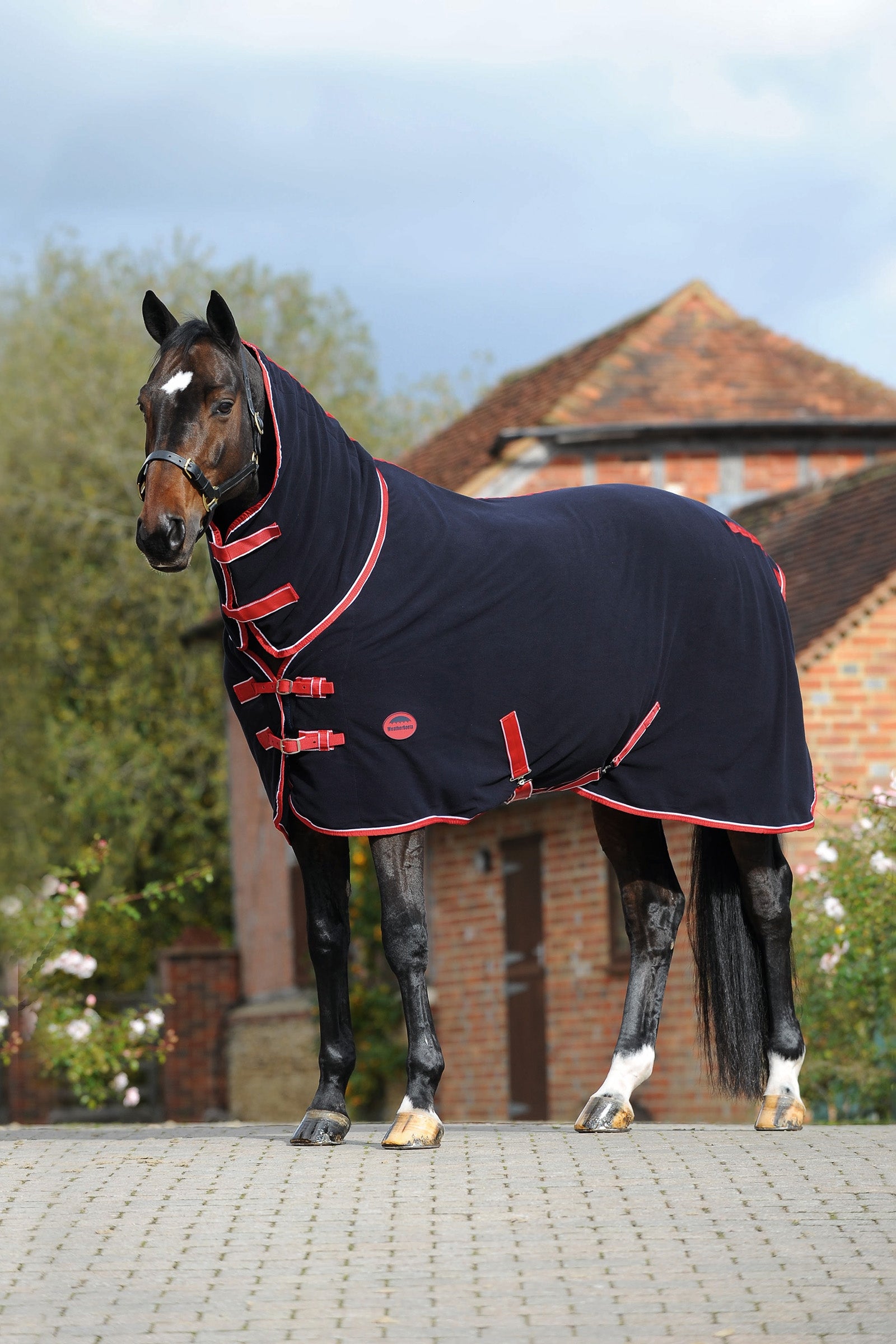 Weatherbeeta Fleece Cooler Combo with Fixed Neck Horse Rugs