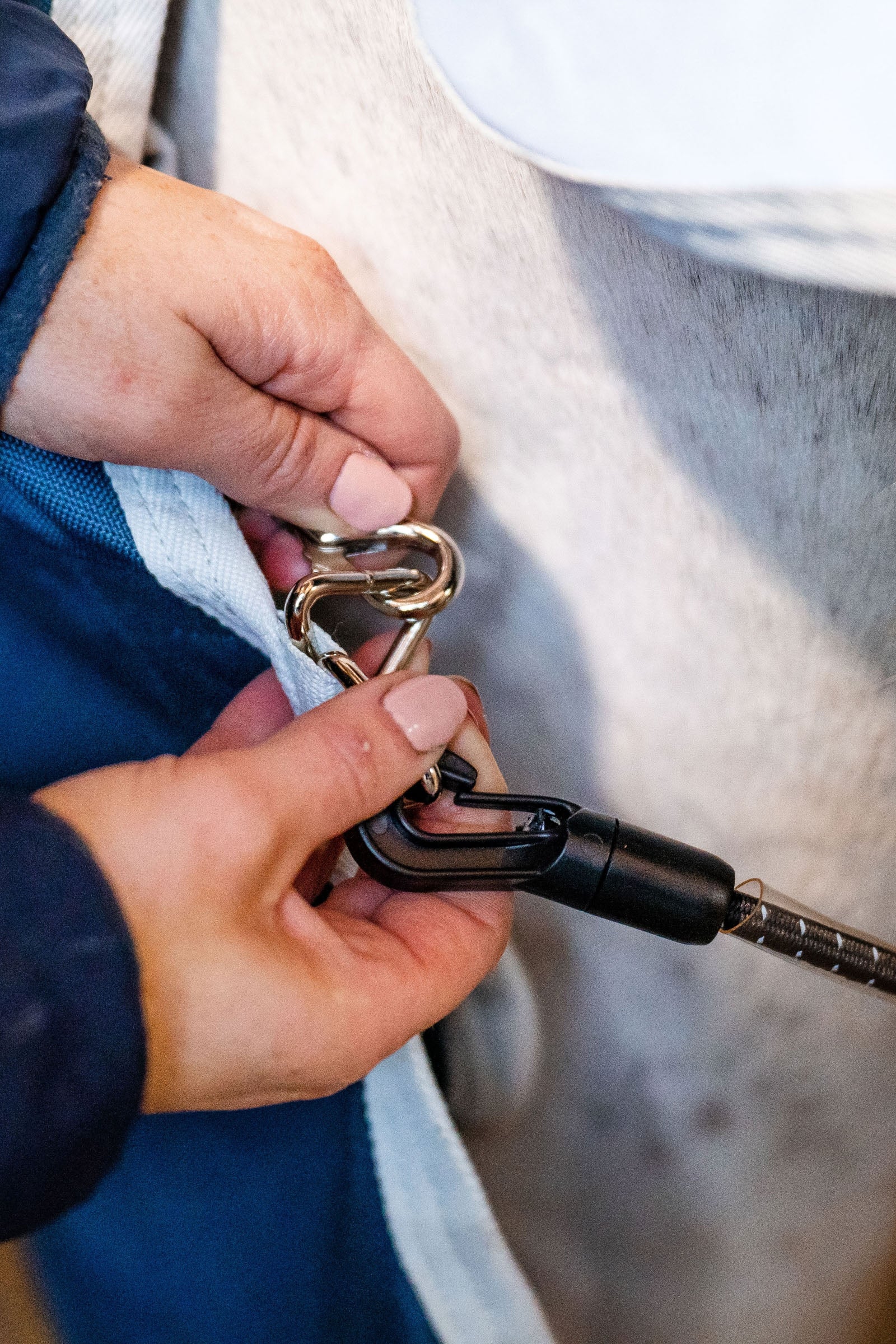 Horseware AmEco Liner, 100g Horse Rugs