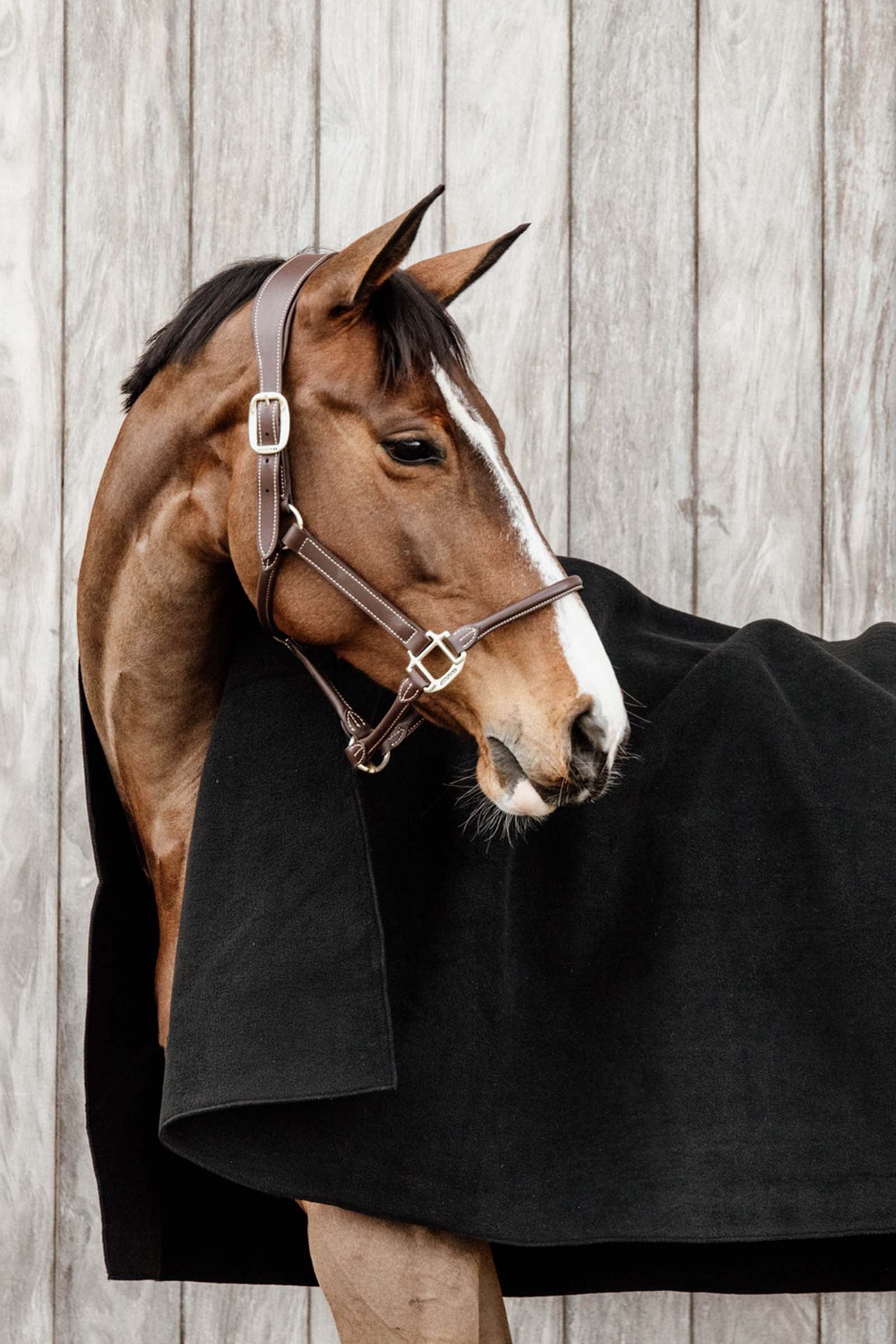 Kentucky Horsewear Heavy Fleece Rug Horse Rugs