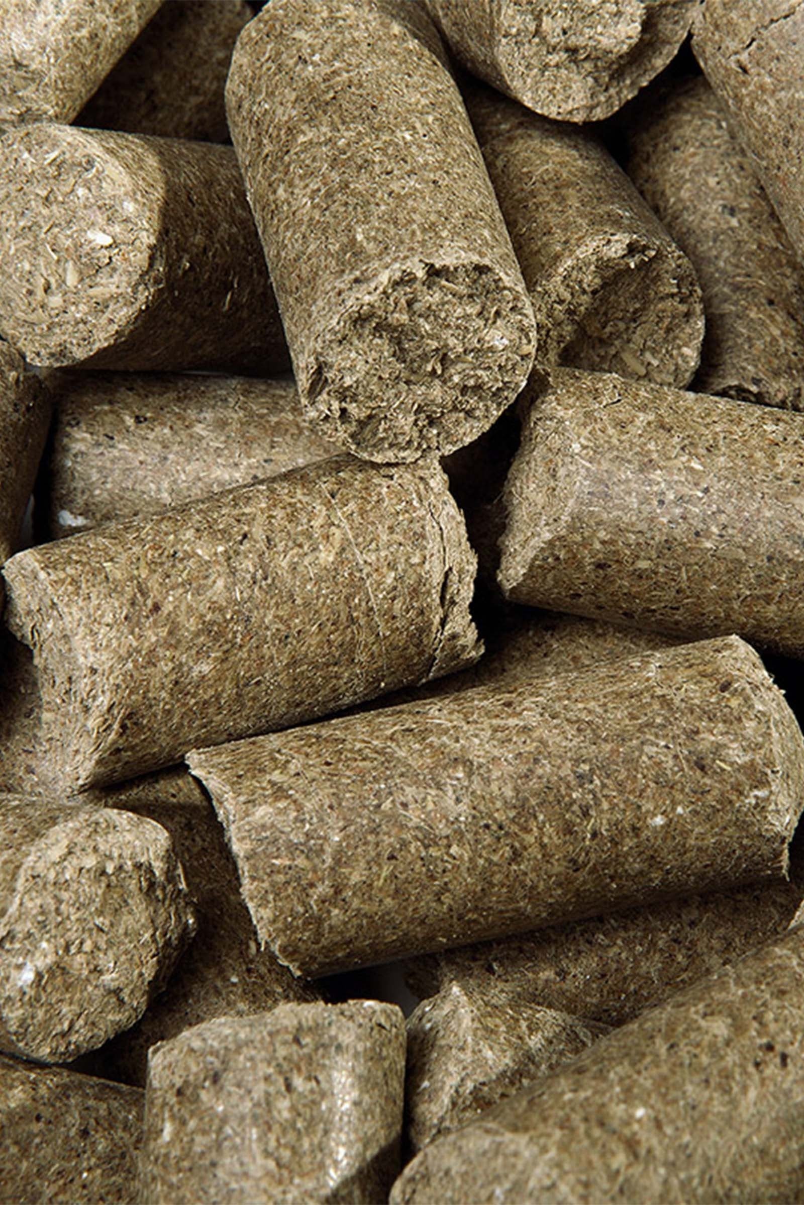 Speed Eucalyptus Delicious Speedies, Treats, 1kg Horse Feed & Nutrition