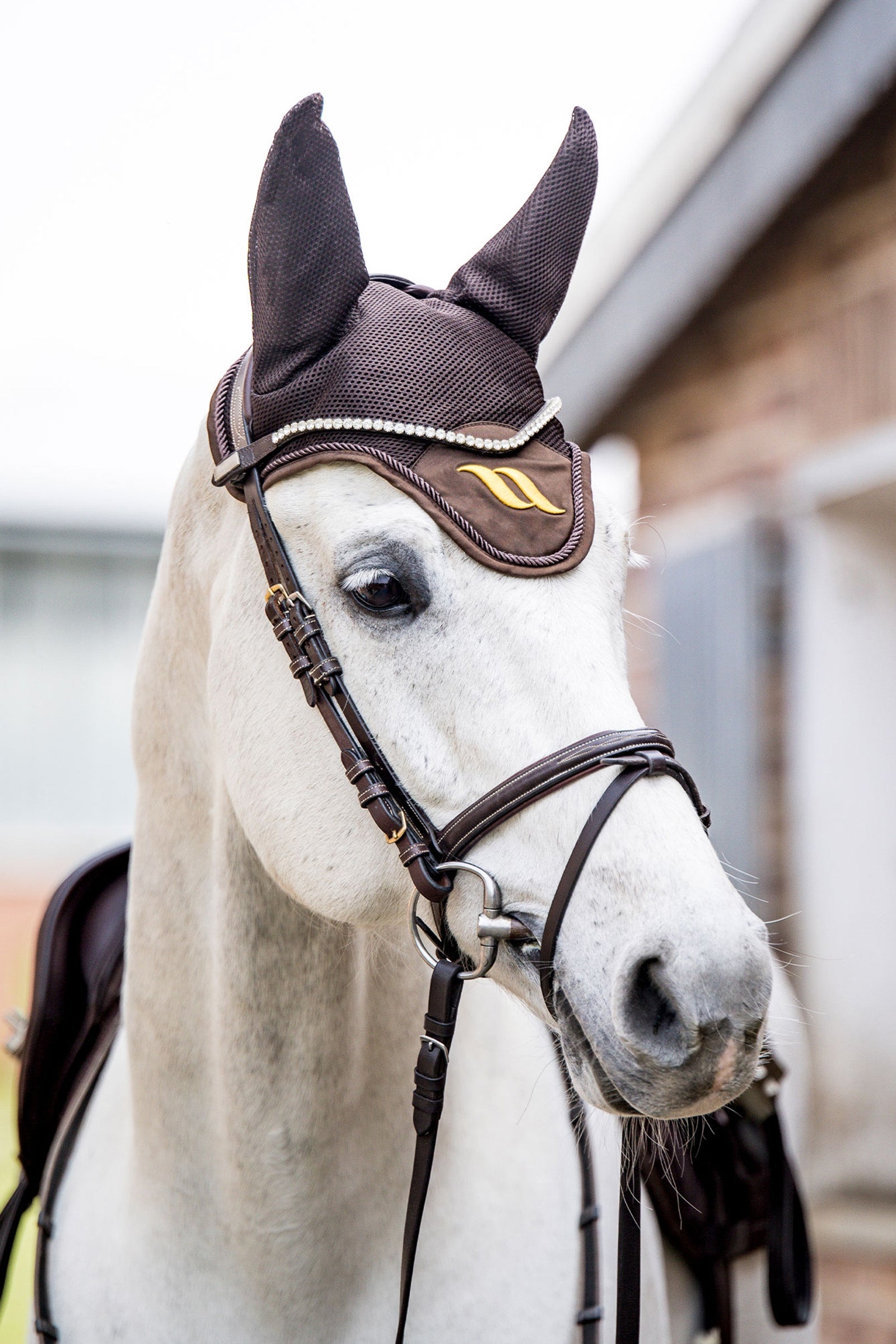 Back on Track Airflow Fly Hood Saddle Pads