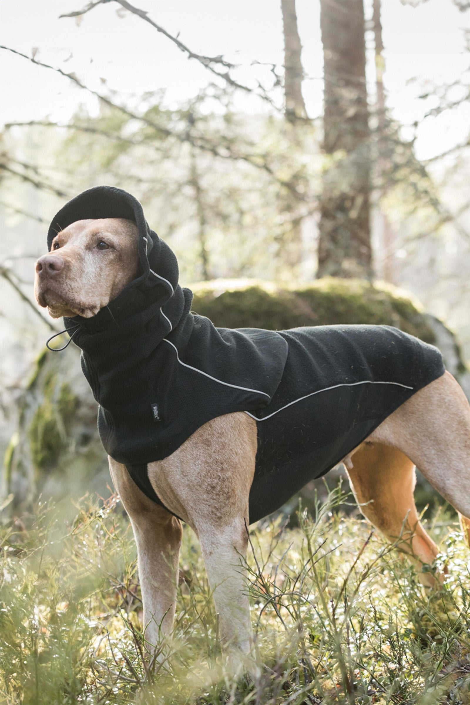 Back on Track Benji Hunde Halswärmer Hund
