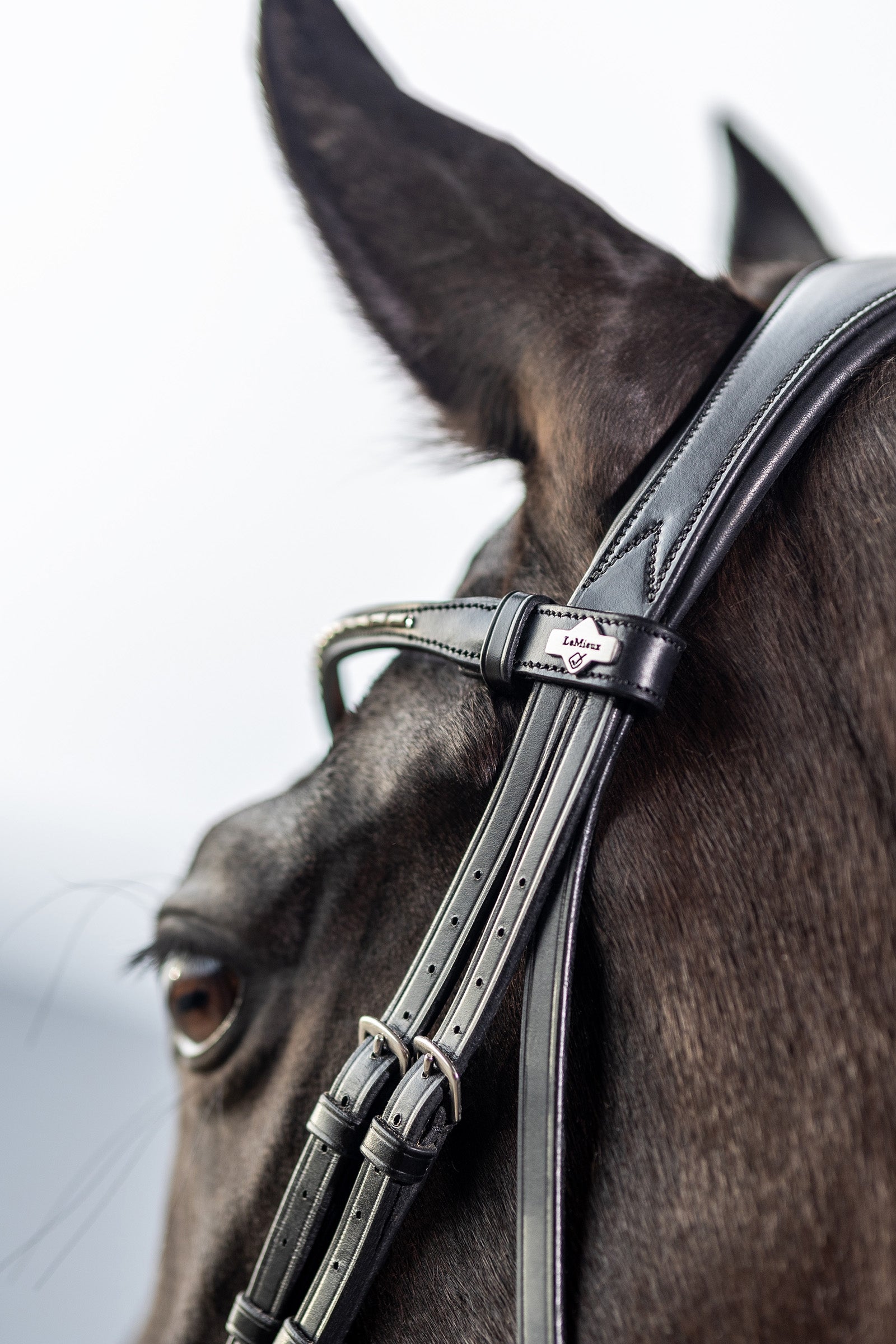 LeMieux Kudos Classic Dressage Bridle Bridles & Reins