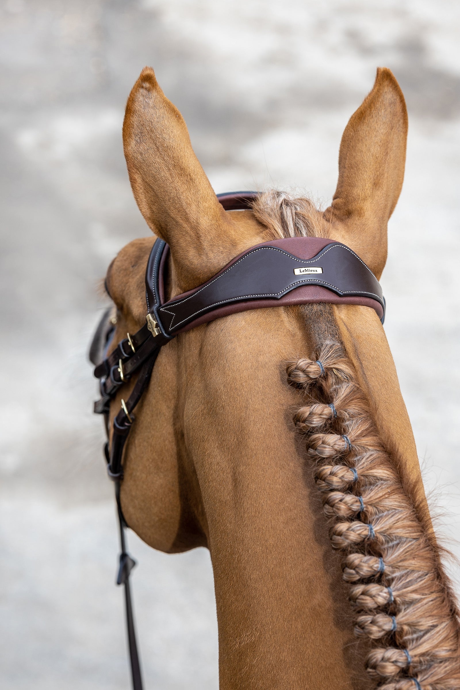 LeMieux Competiton Flash Bridle Bridles & Reins