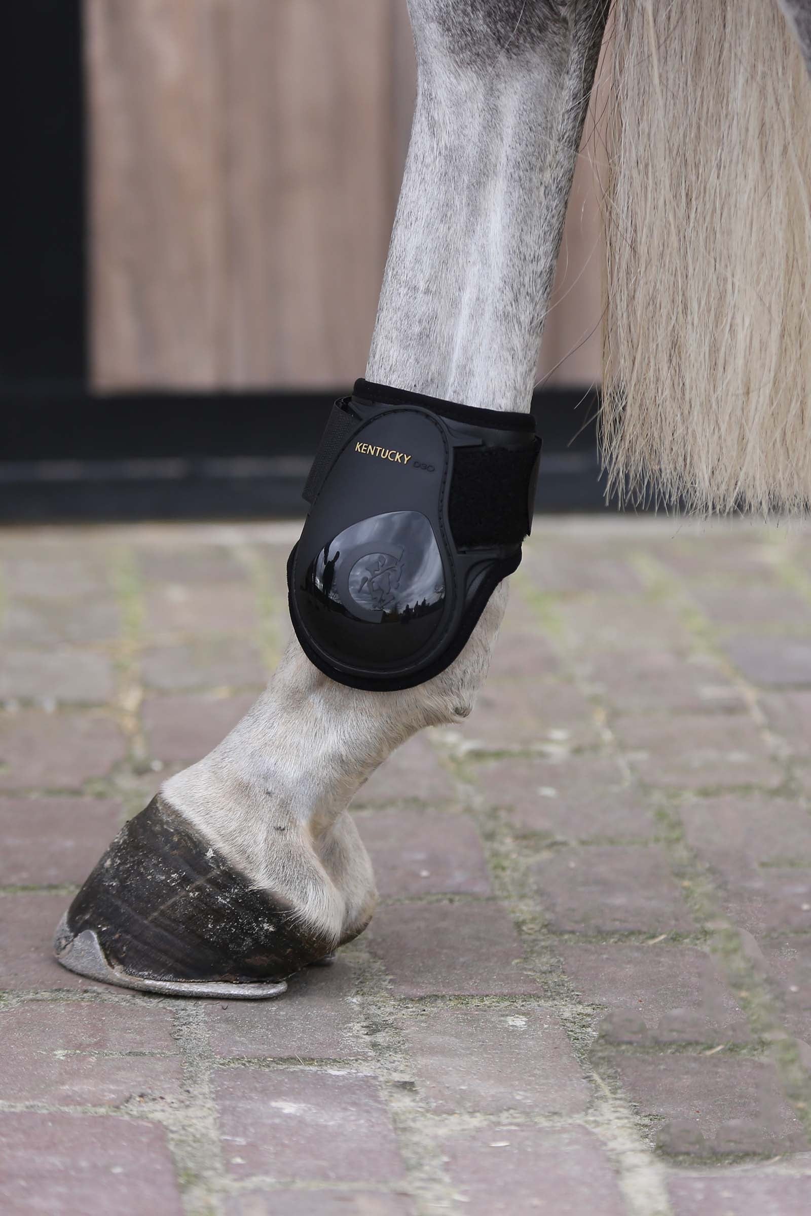 Kentucky Horsewear Young Horse Fetlock Boots Leg Protection & Hoof Protection for Horses
