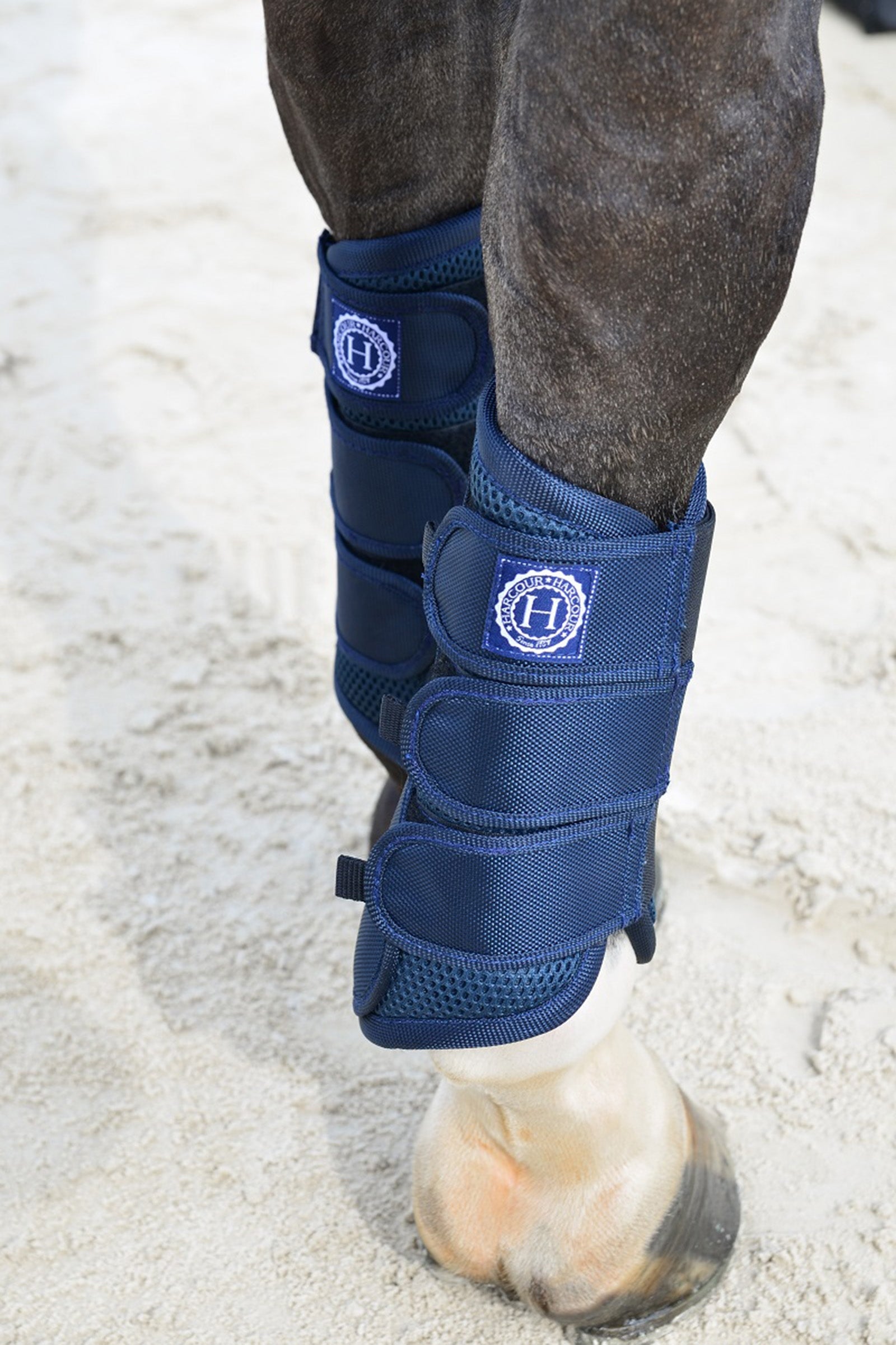 Harcour Cosmic Mesh Gamaschen Leg Protection & Hoof Protection for Horses