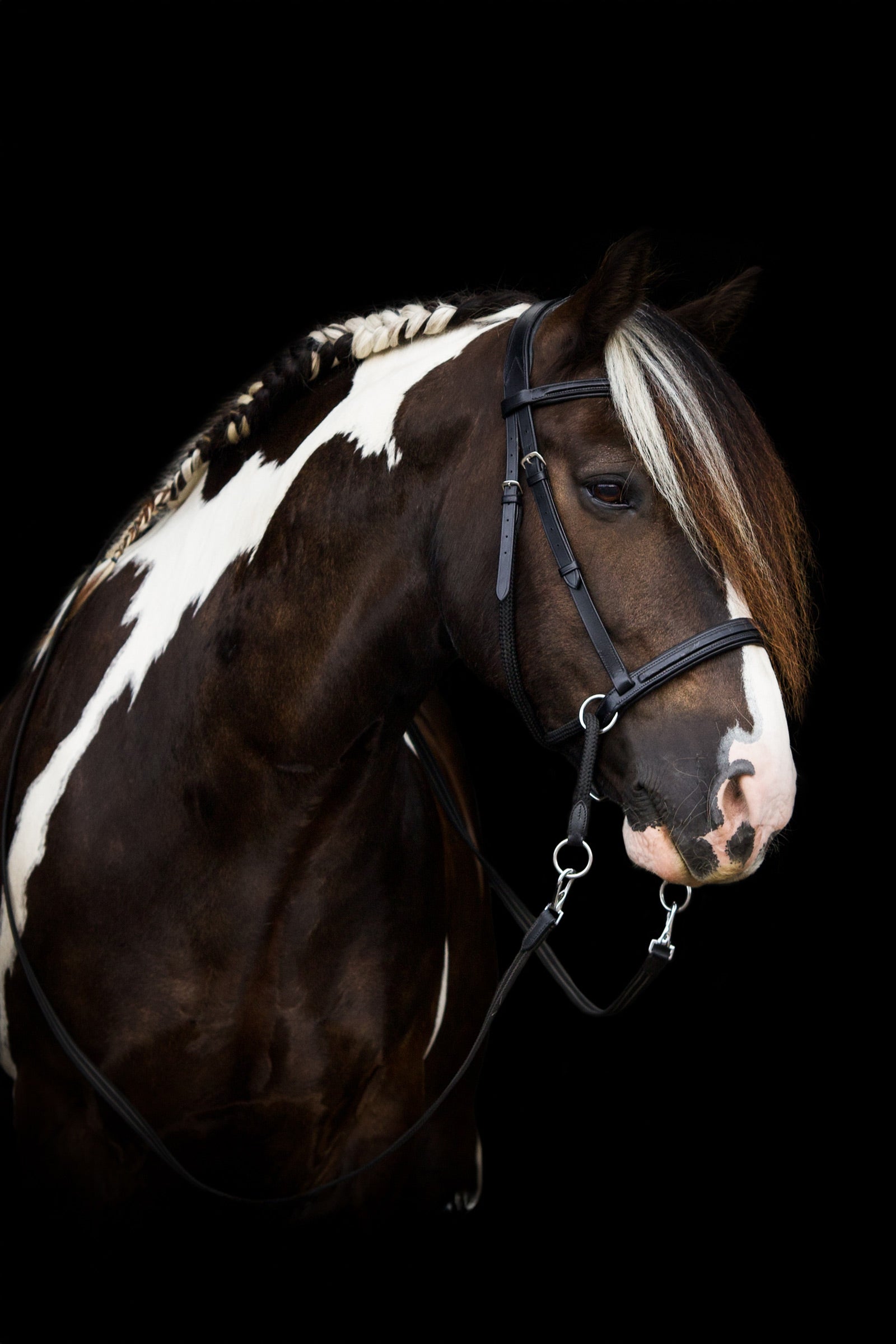 F.R.A. Freedom Riding Articles Dietsji Bitless Bridle With Reins (System 5) Bridles & Reins