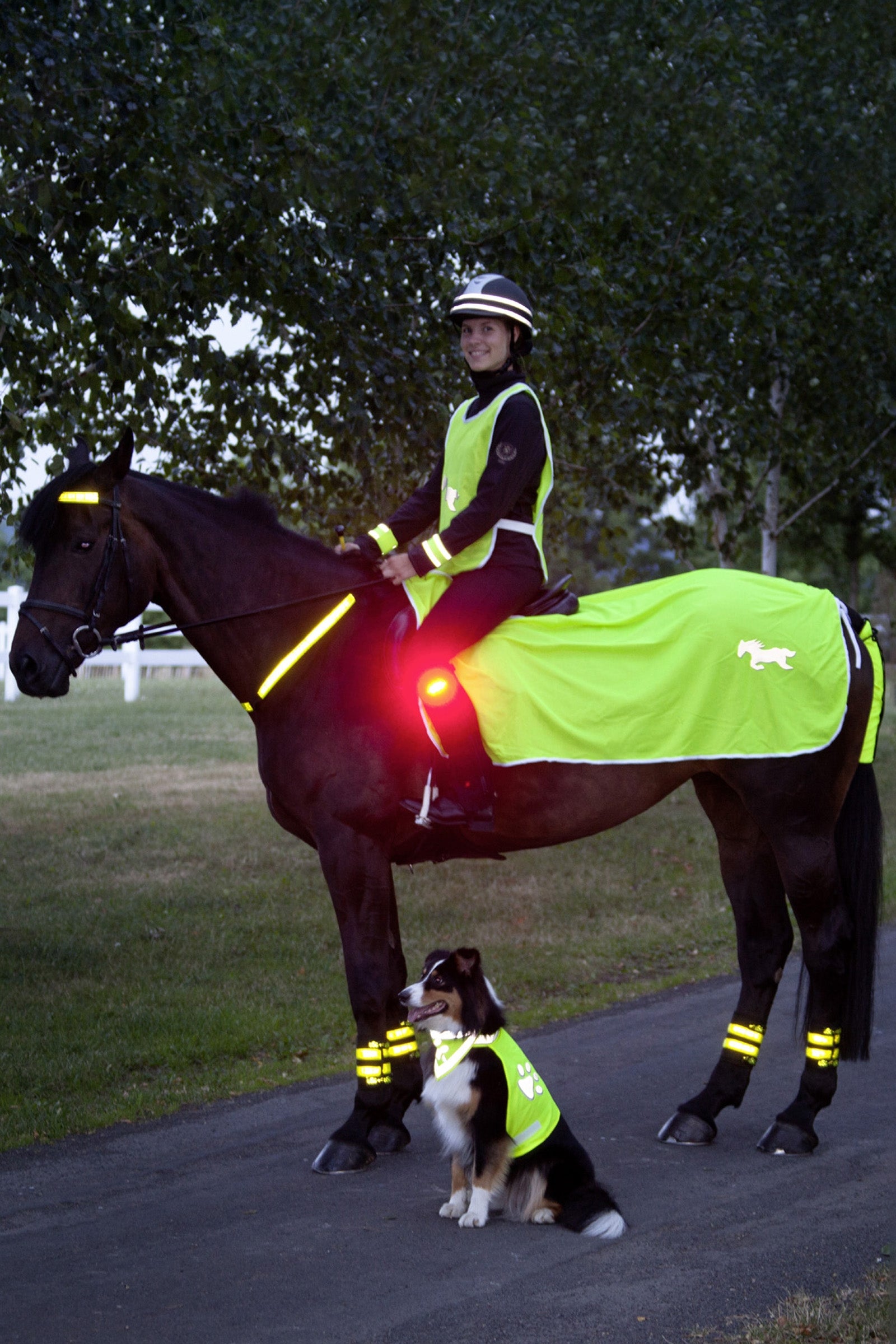 USG Reflektierende Decke Reflective