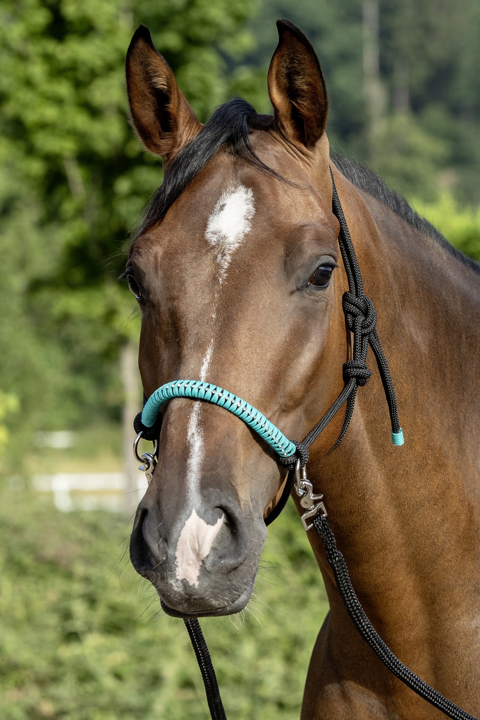 USG Knotted Rope Halter with Reins Halfter & Stricke