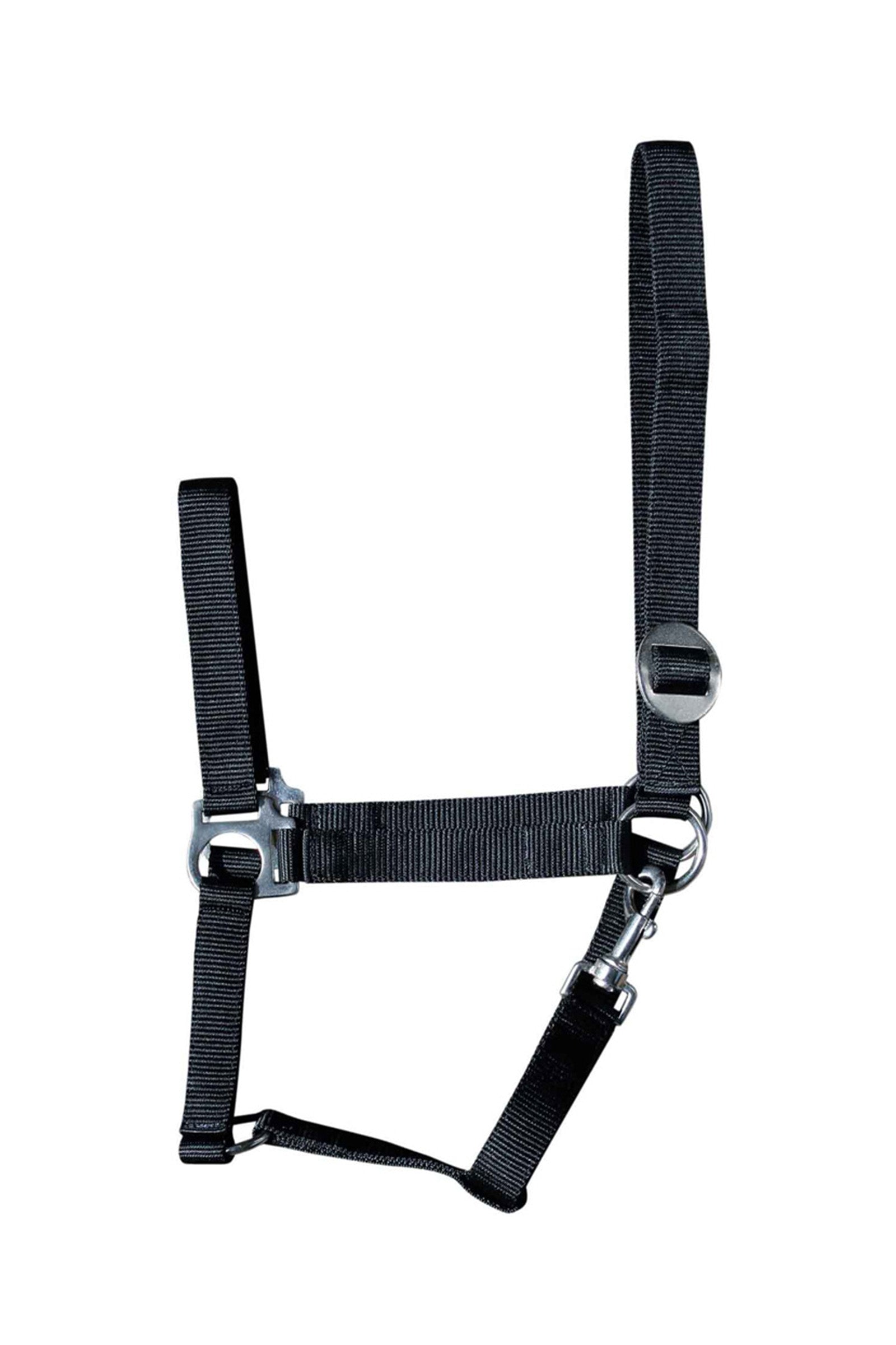 Harry's Horse Economy Halfter Halfter & Stricke