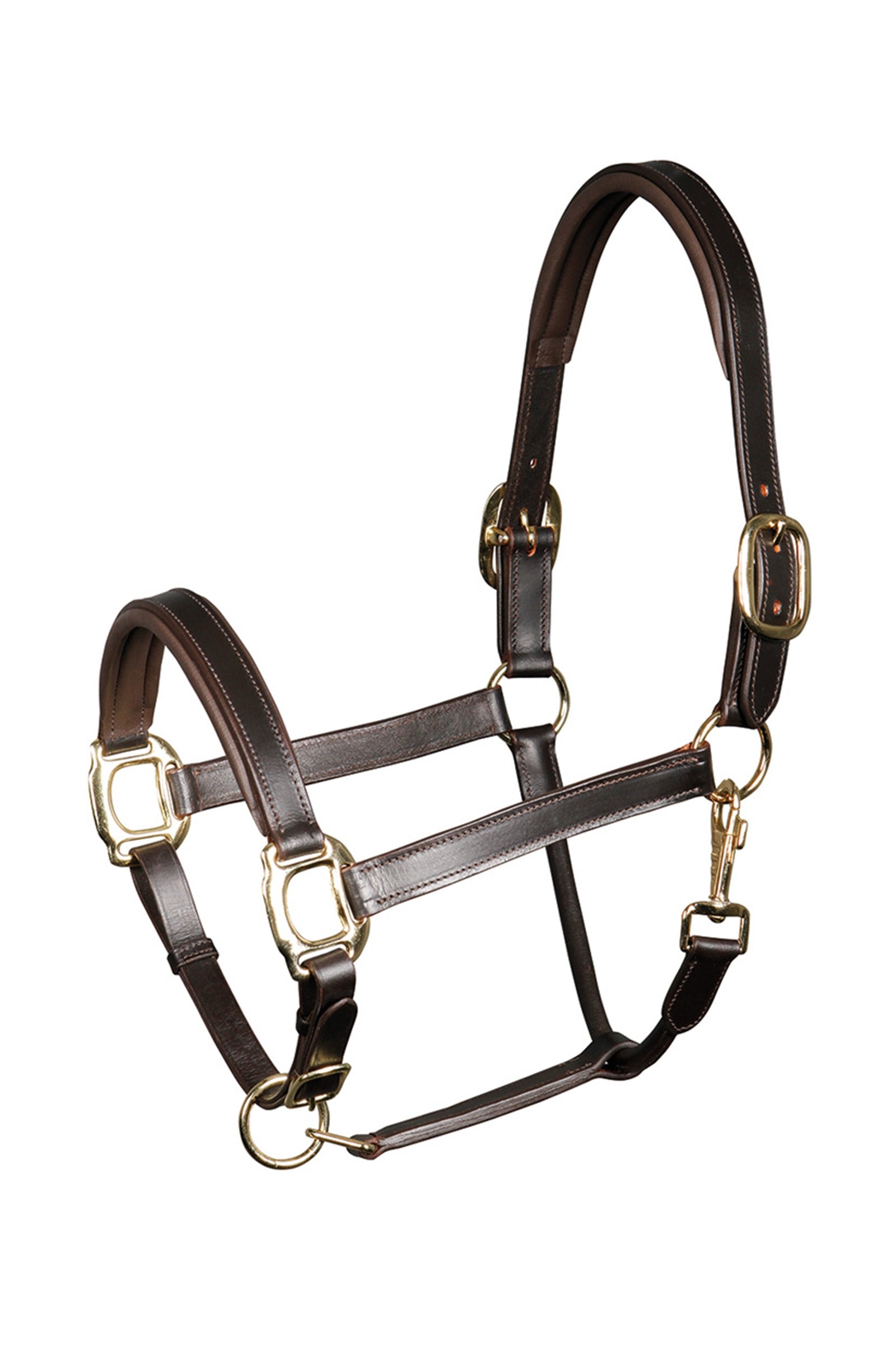 Harry's Horse Lederhalfter unterlegt Halfter & Stricke