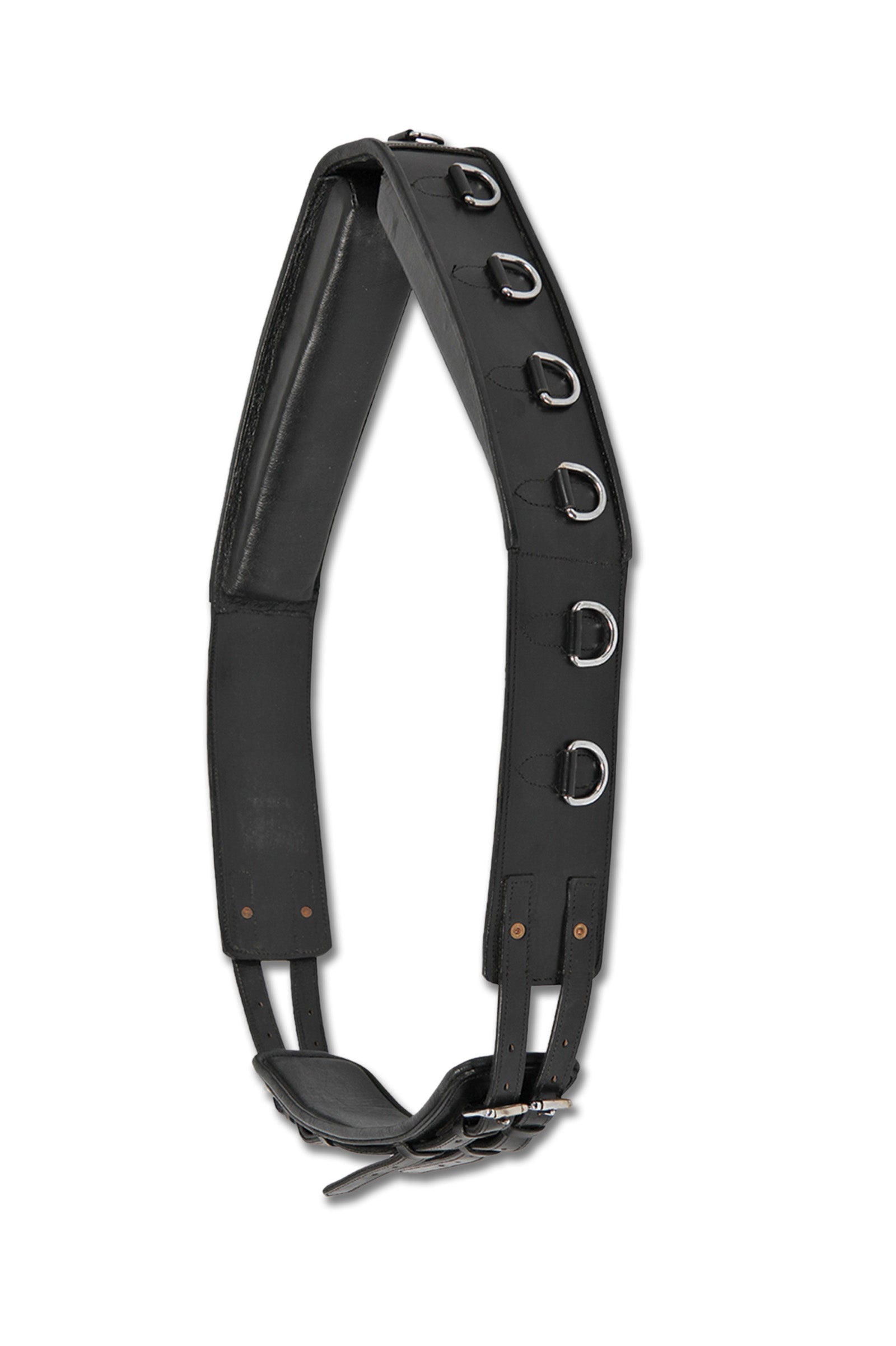 Waldhausen Longiergurt, Leder Longieren & Bodenarbeit