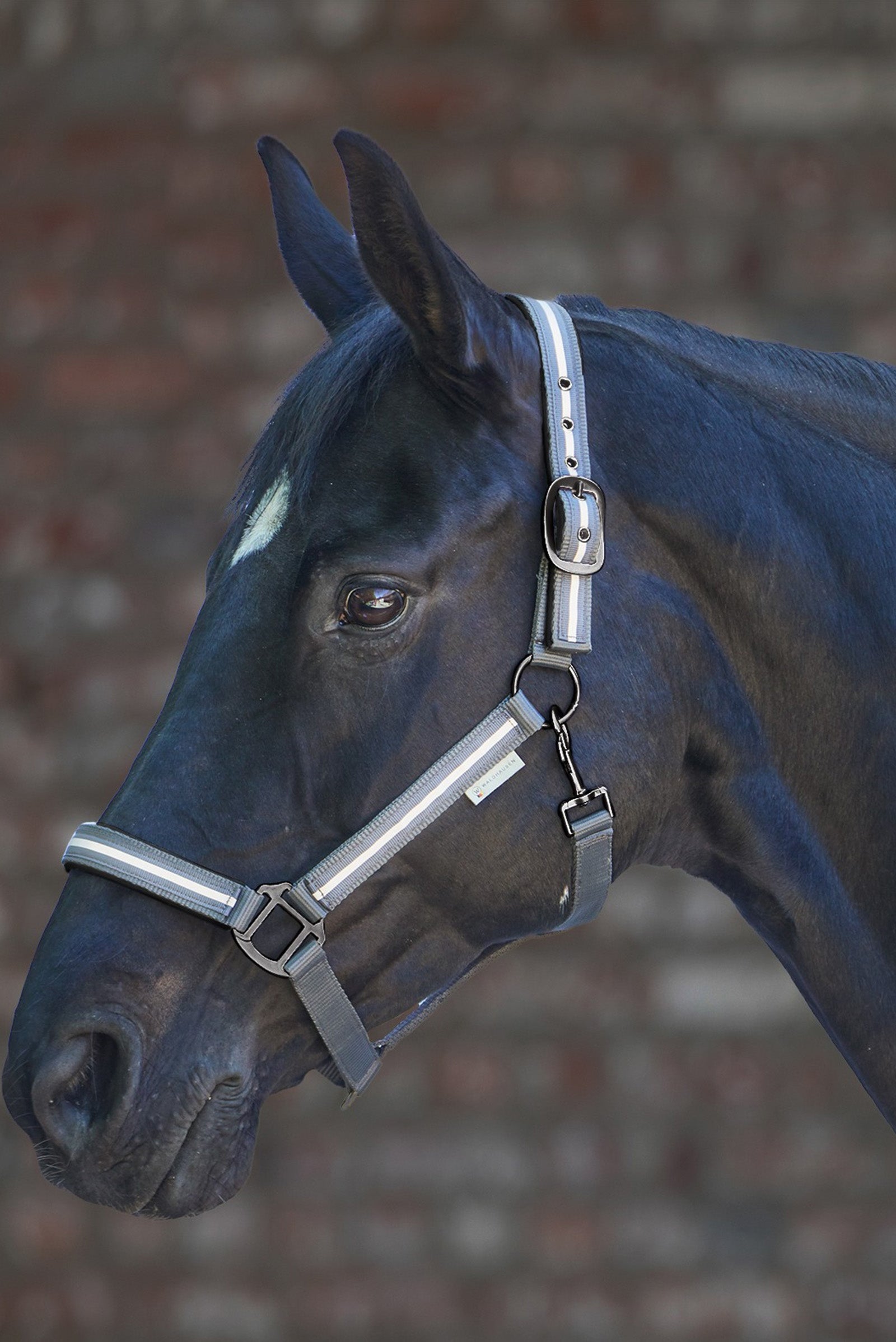 Waldhausen Reflex Stripe Halfter Halfter & Stricke