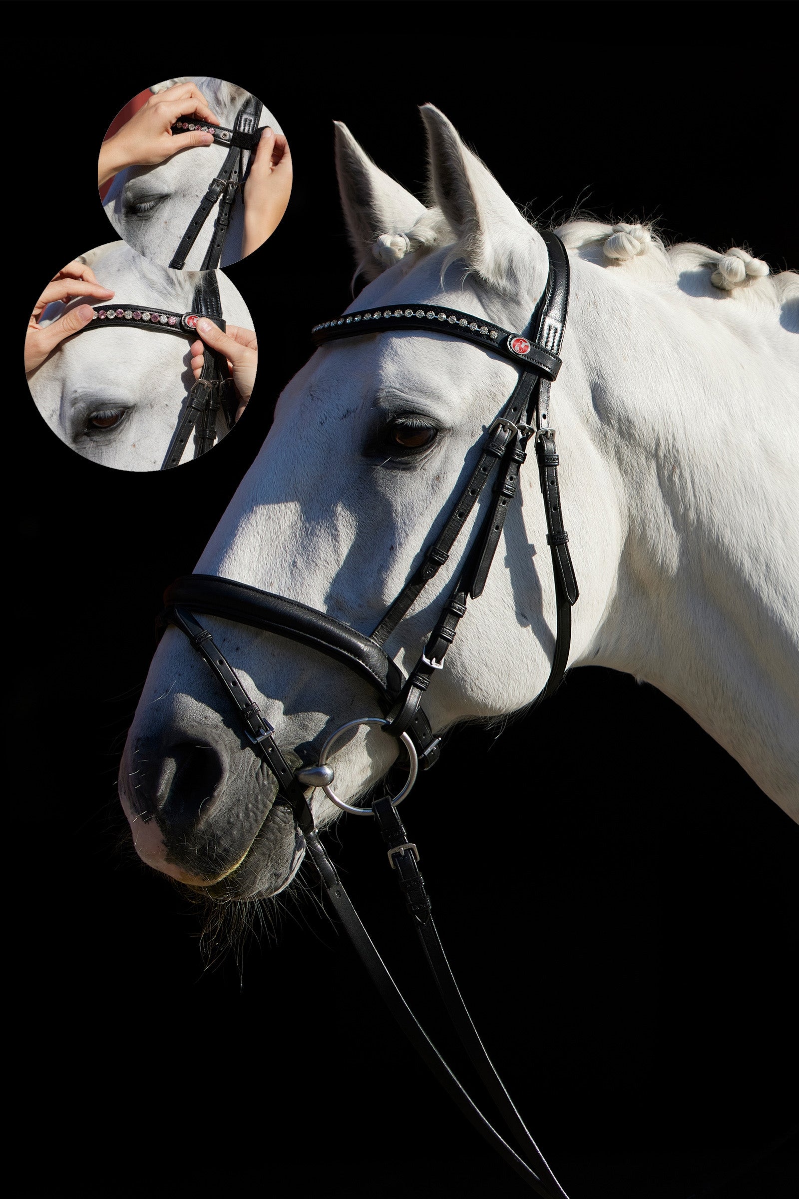 Kieffer Ultrasoft® FlexiStyle Bridle Bridles & Reins