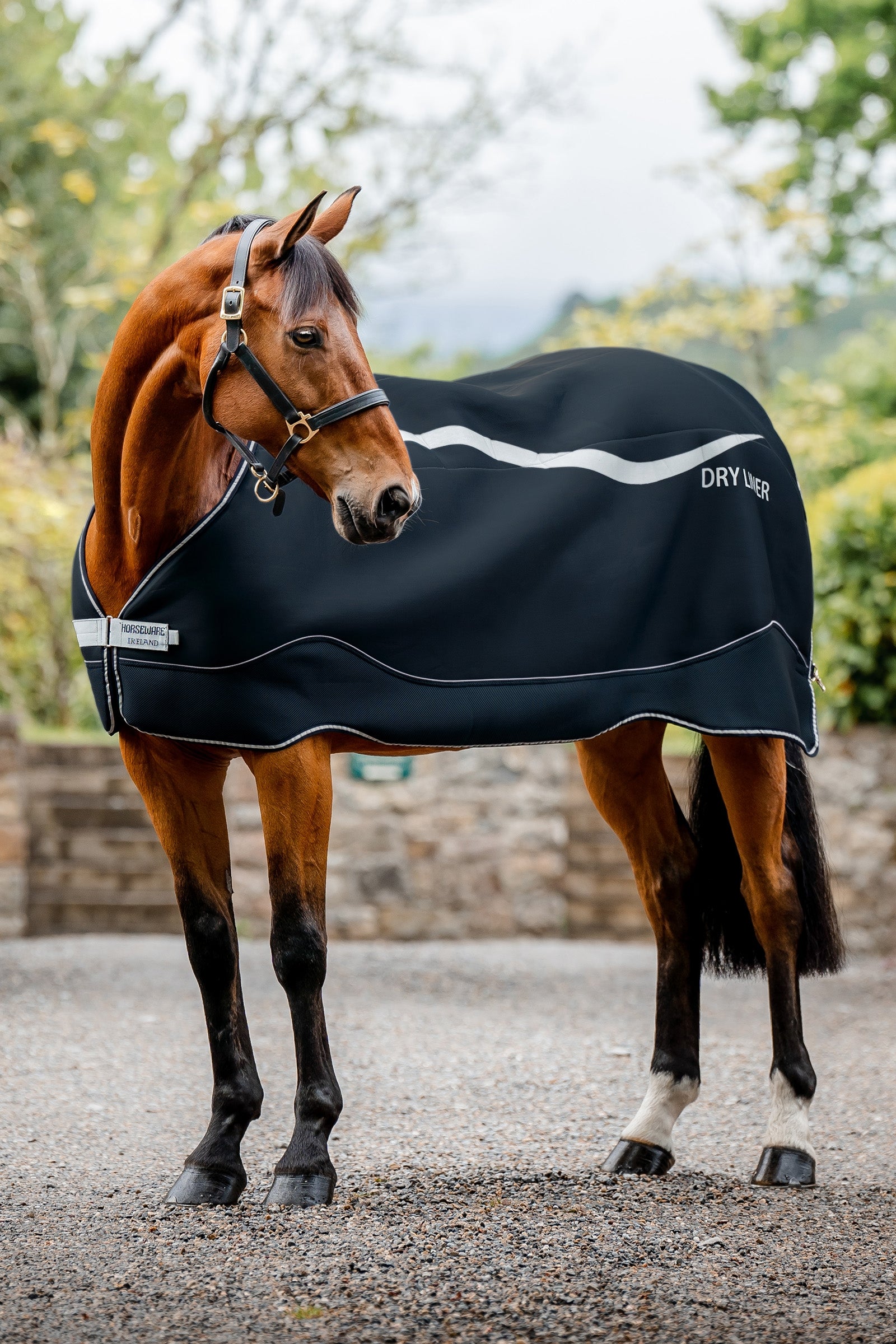 Horseware Dry Liner Unterdecke mit Abschwitzfunktion, 50 g Pferdedecken
