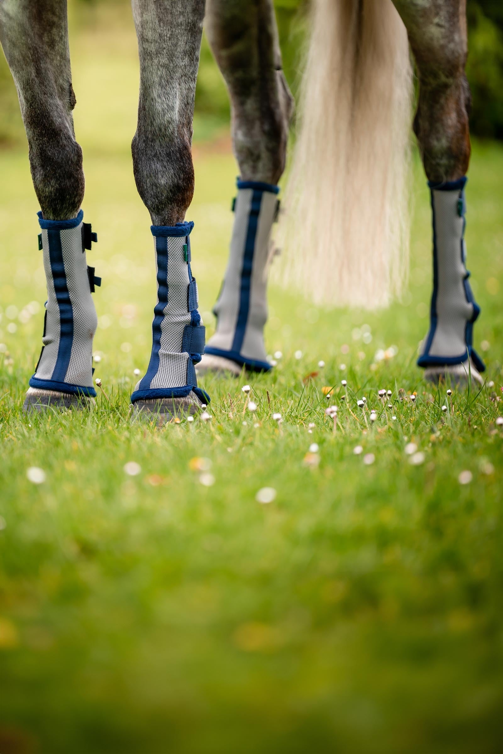 Horseware Fly Boots Antifly Protection for Horses