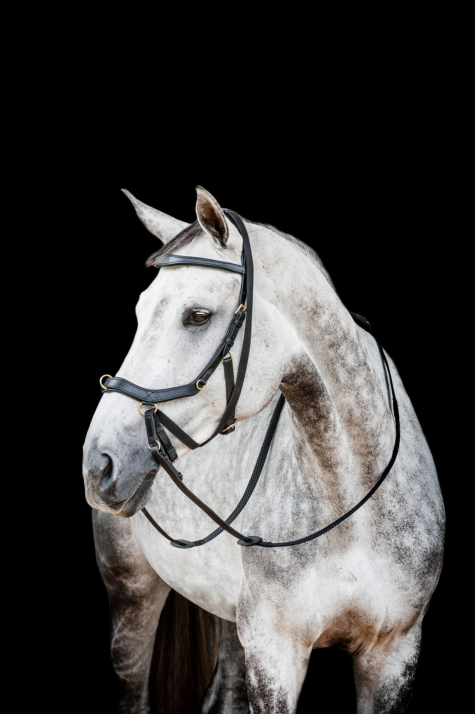 Horseware Micklem 2 Multi Trense Trensenzäume & Zügel