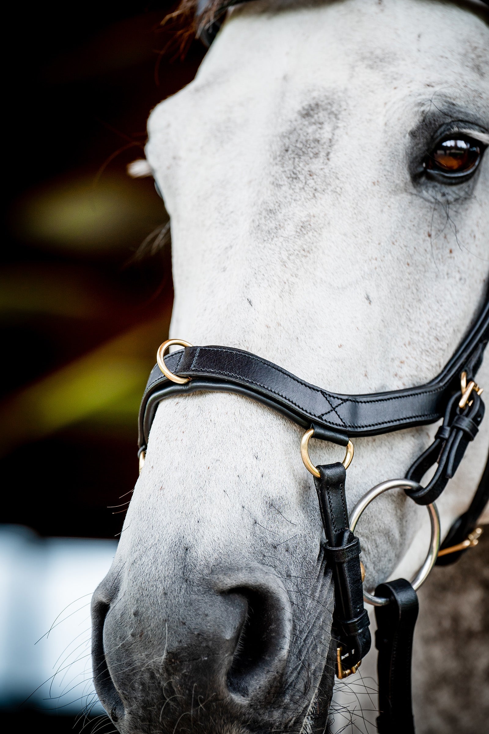 Horseware Micklem 2 Multi Bridle Bridles & Reins