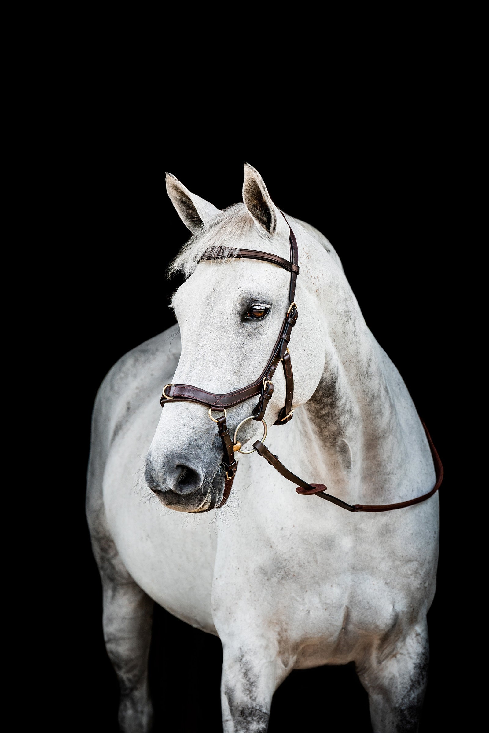 Horseware Micklem 2 Multi Bridle Bridles & Reins